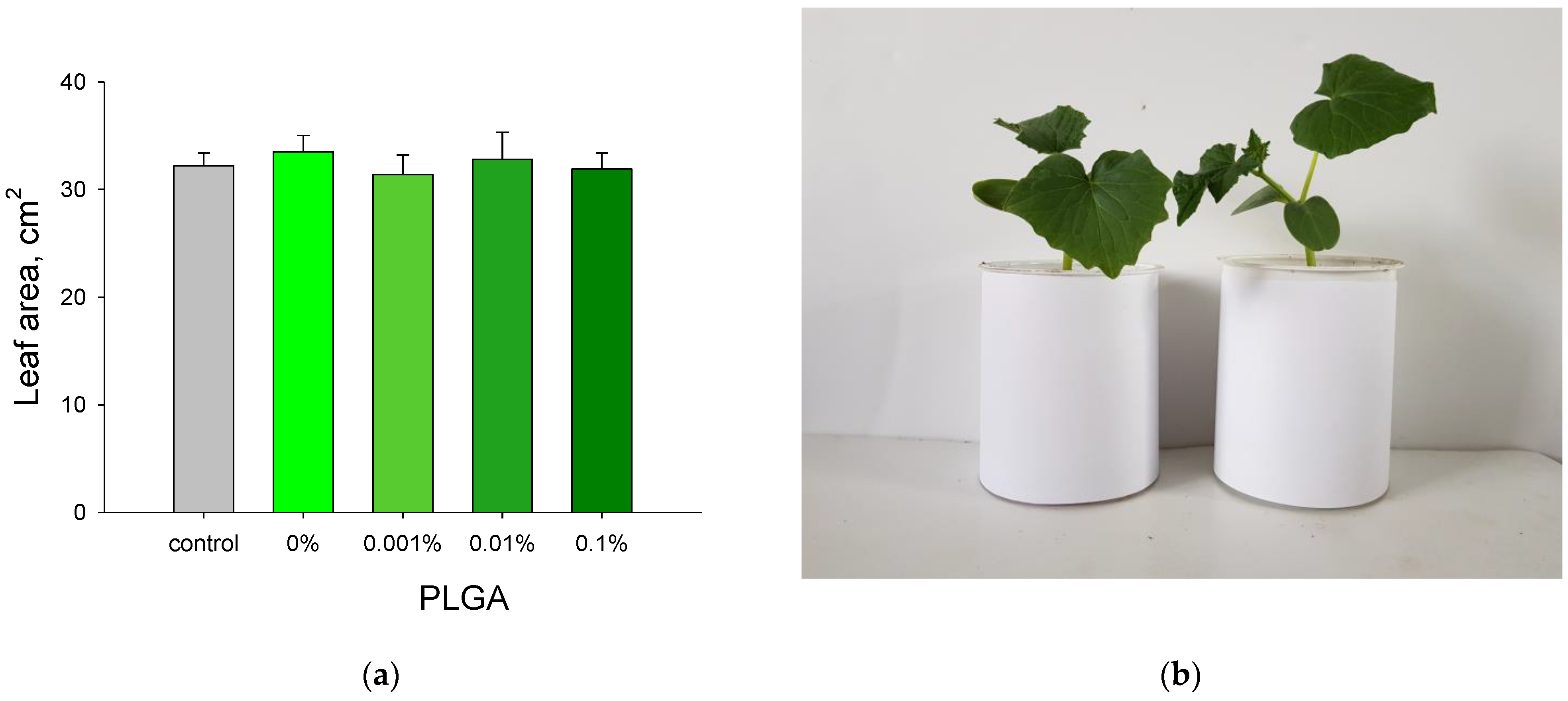 Jcs 06 00298 g010 Jcs 06 00298 g010