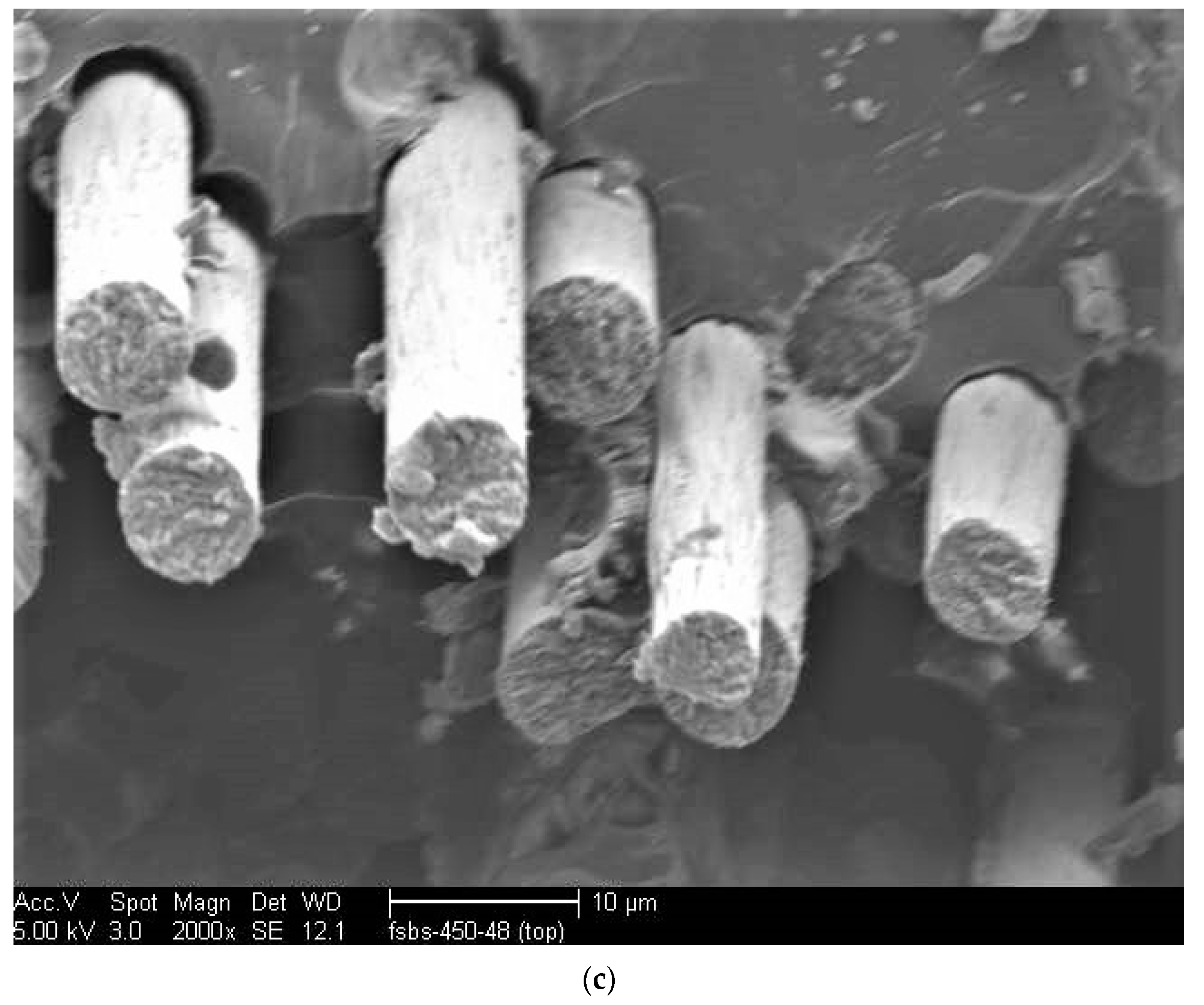 Jcs 06 00306 g007b Jcs 06 00306 g007b