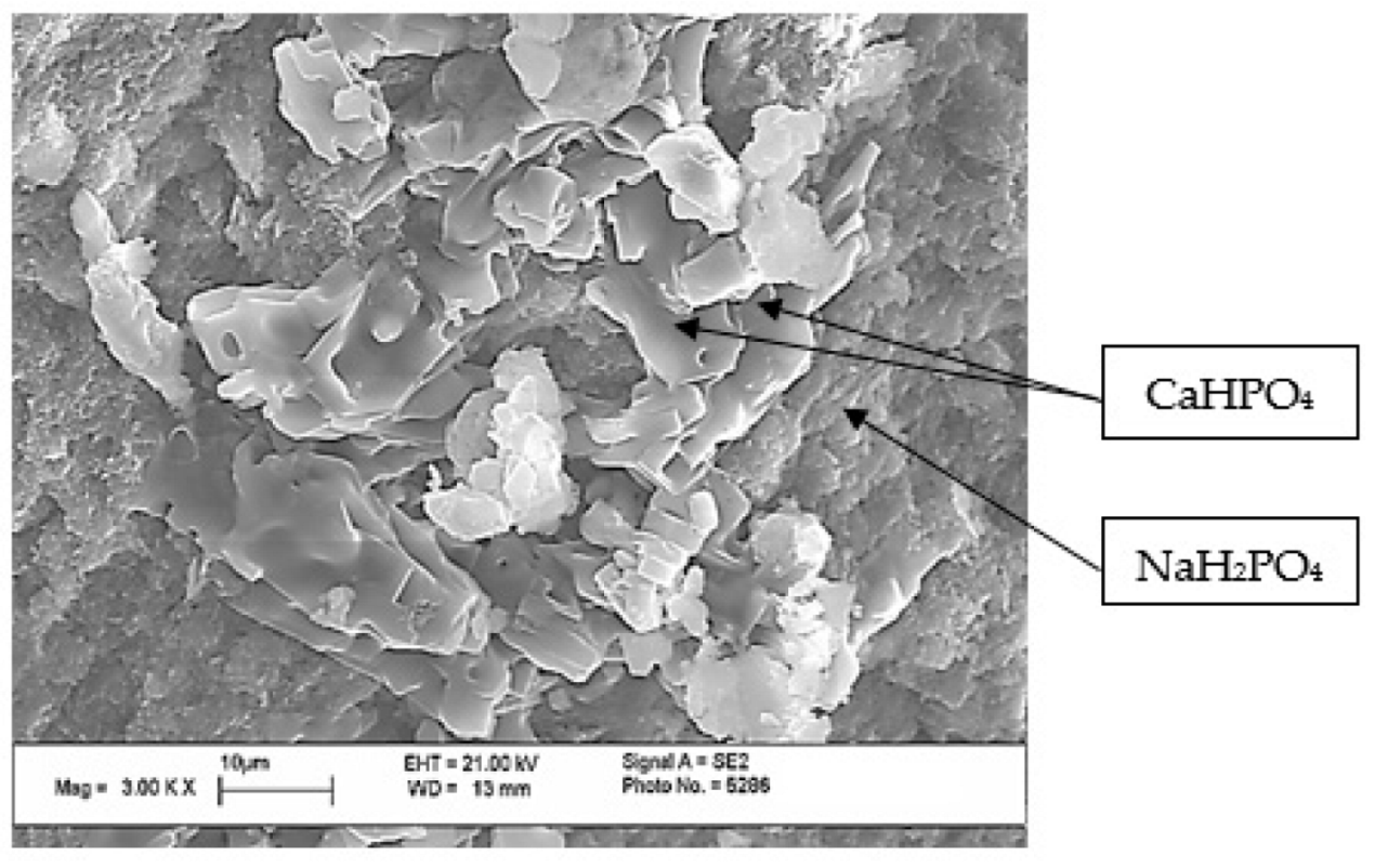 Jcs 06 00314 g002 Jcs 06 00314 g002