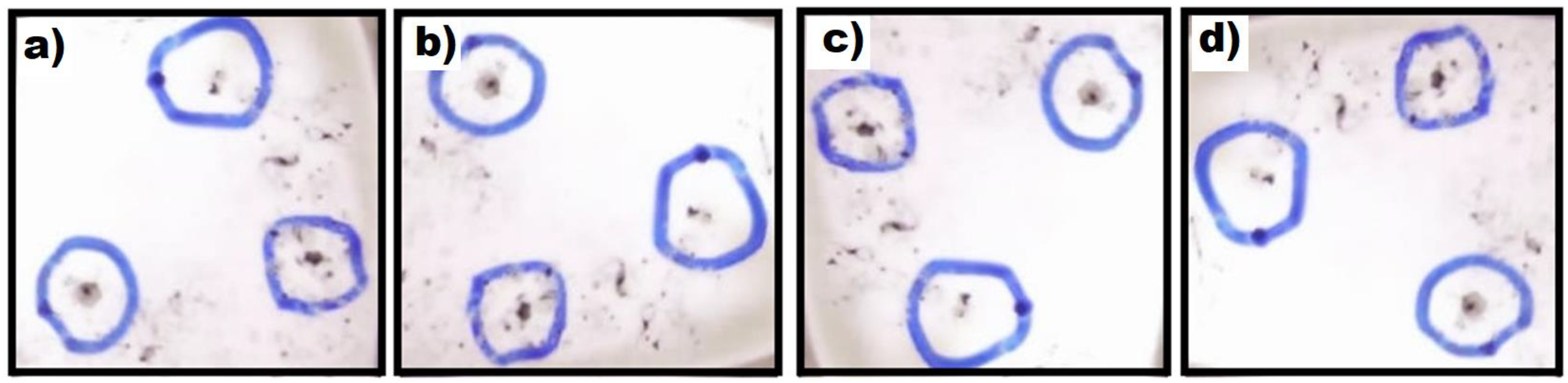 Jcs 06 00323 g013 Jcs 06 00323 g013