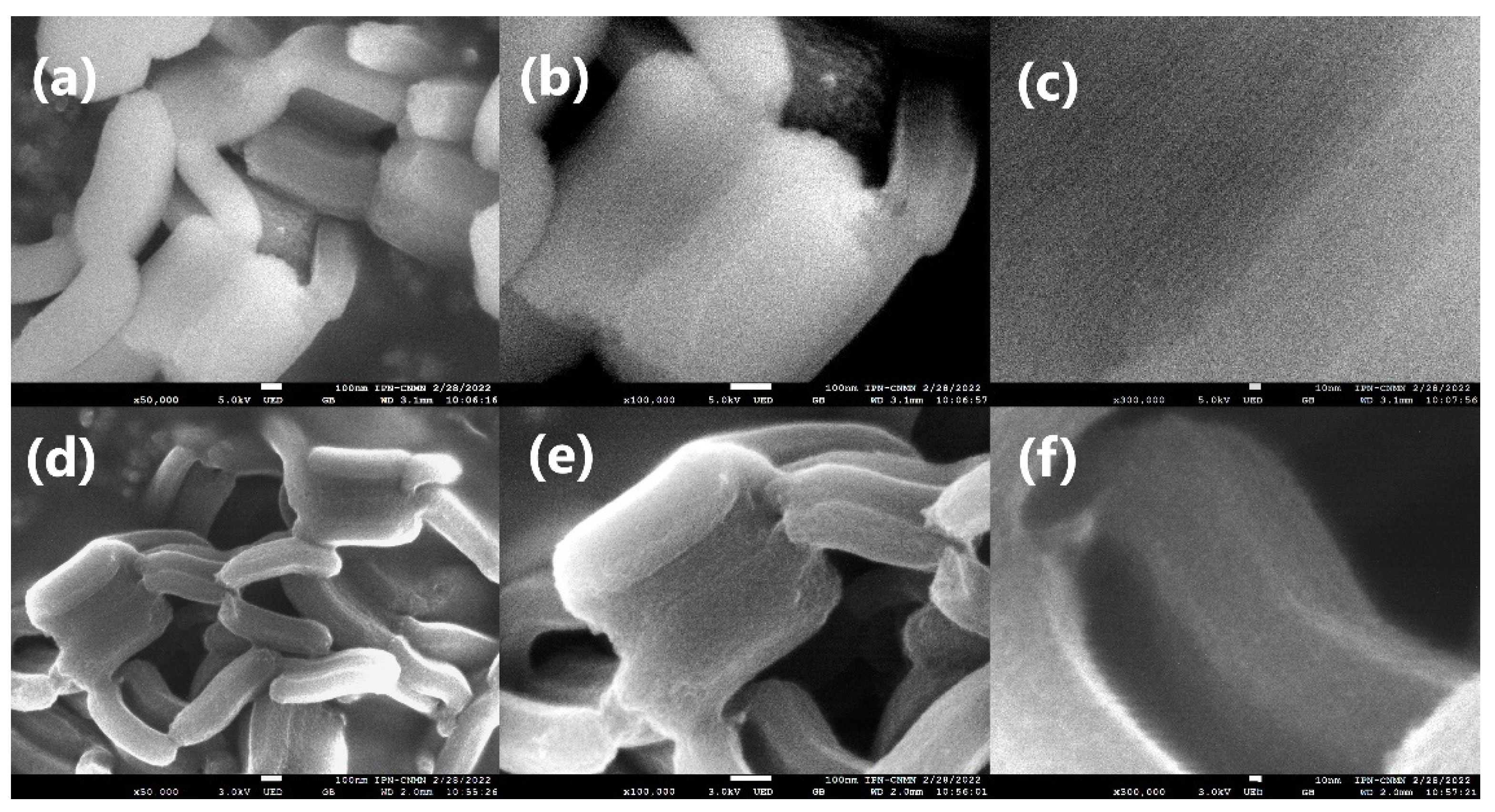 Jcs 06 00344 g005 Jcs 06 00344 g005
