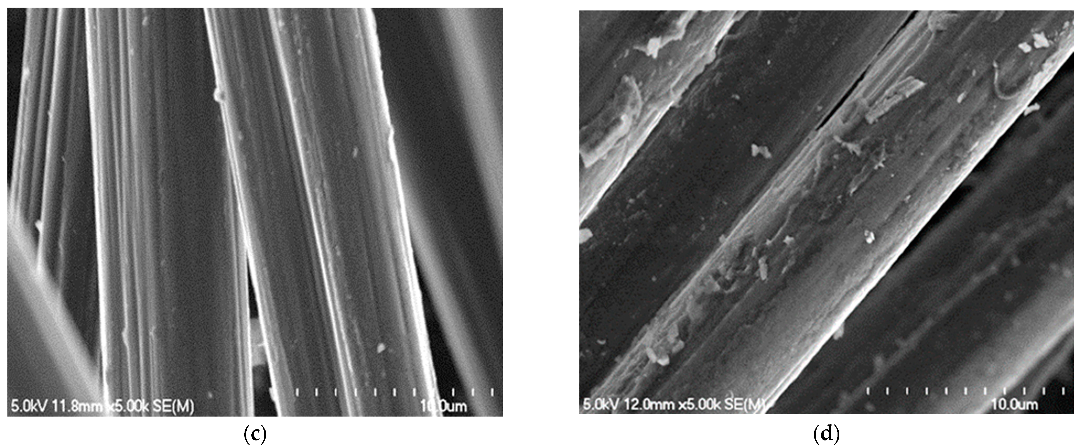 Jcs 06 00352 g002b Jcs 06 00352 g002b