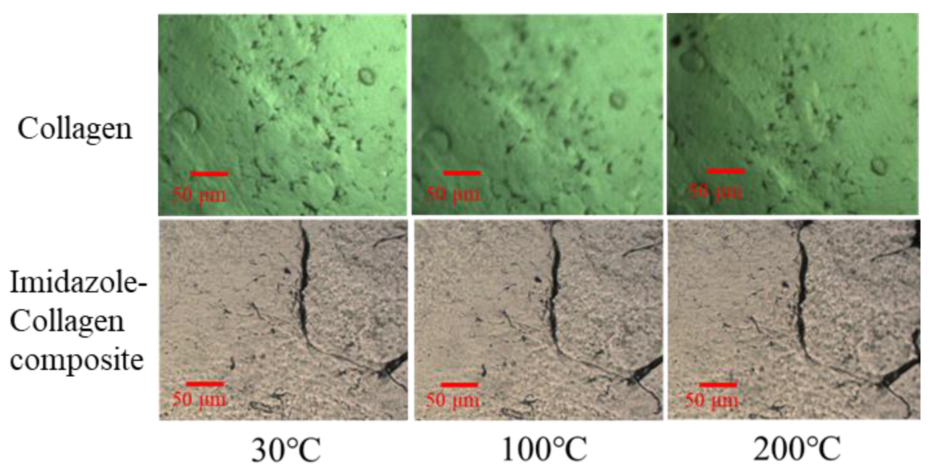 Jcs 06 00360 g003 Jcs 06 00360 g003