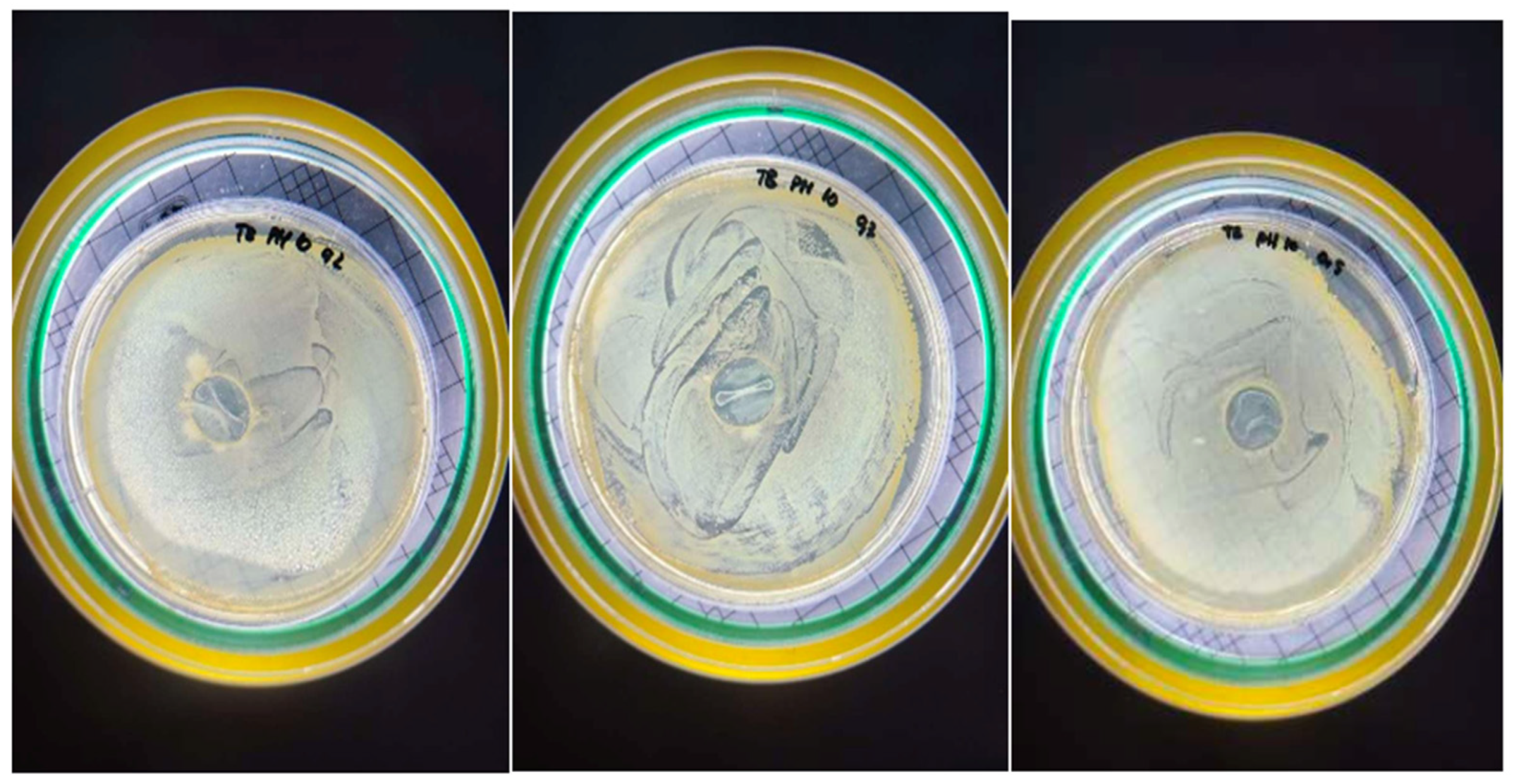 Jcs 07 00039 g006 Jcs 07 00039 g006