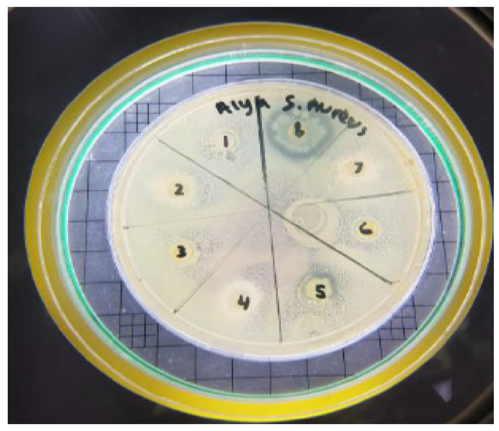 Jcs 07 00039 g007 Jcs 07 00039 g007