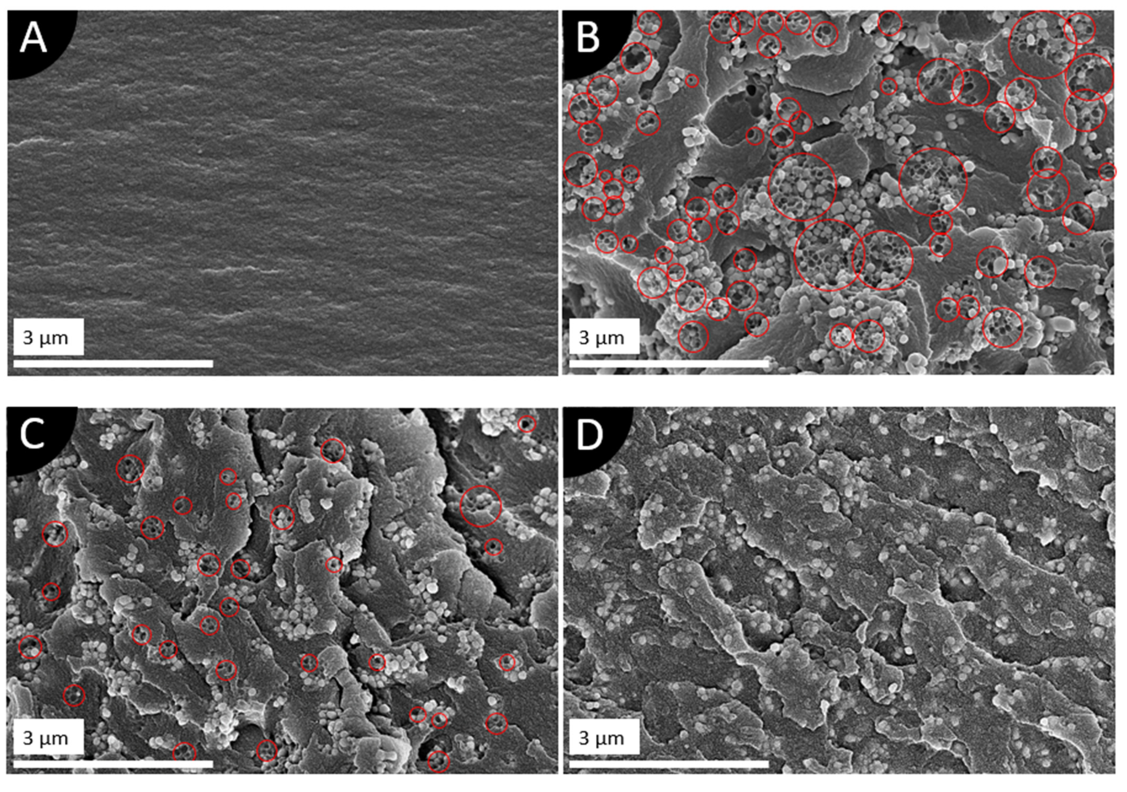 Jcs 07 00047 g007 Jcs 07 00047 g007