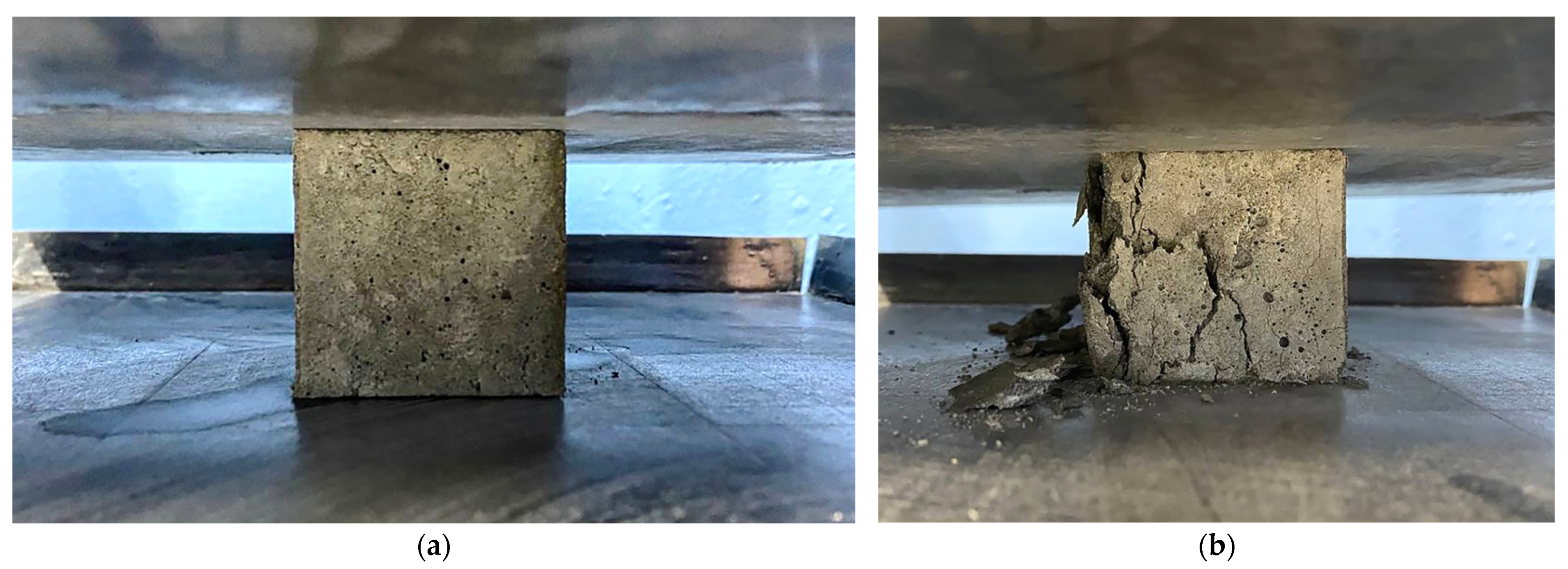 Jcs 07 00058 g004 550