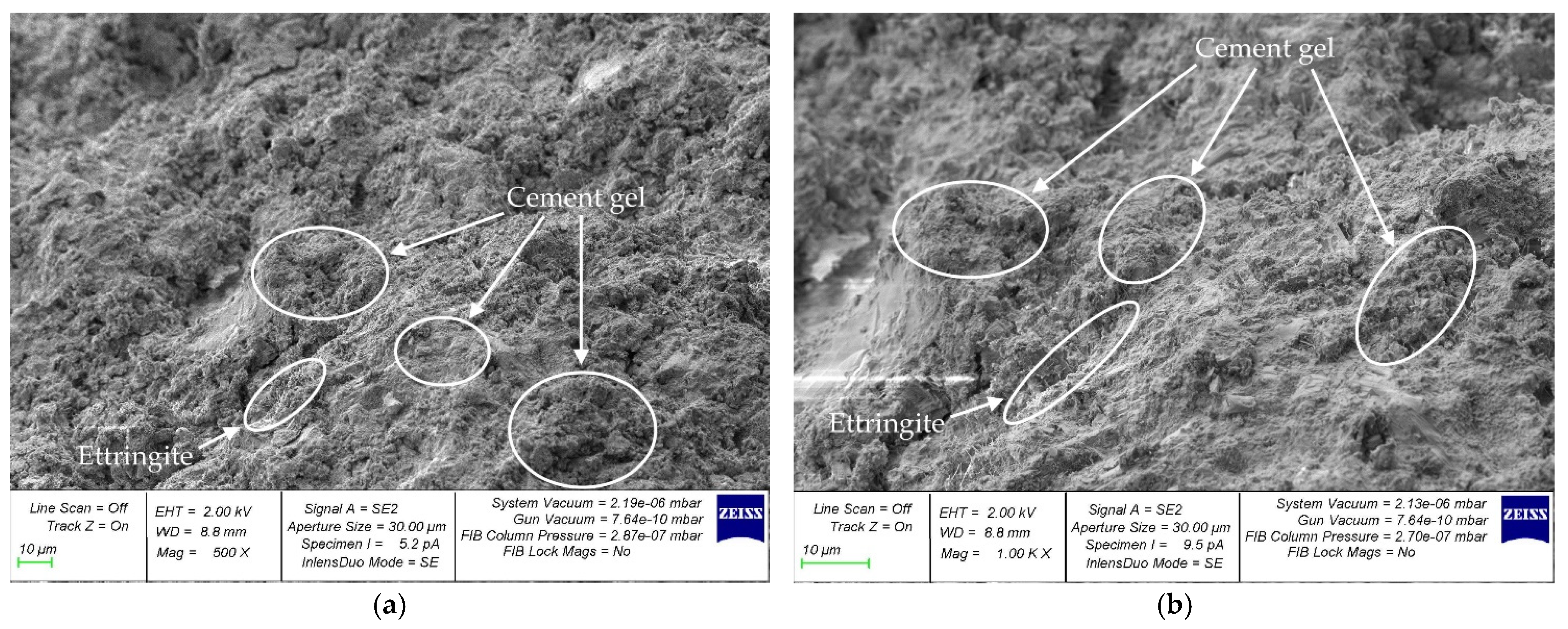 Jcs 07 00058 g010 550
