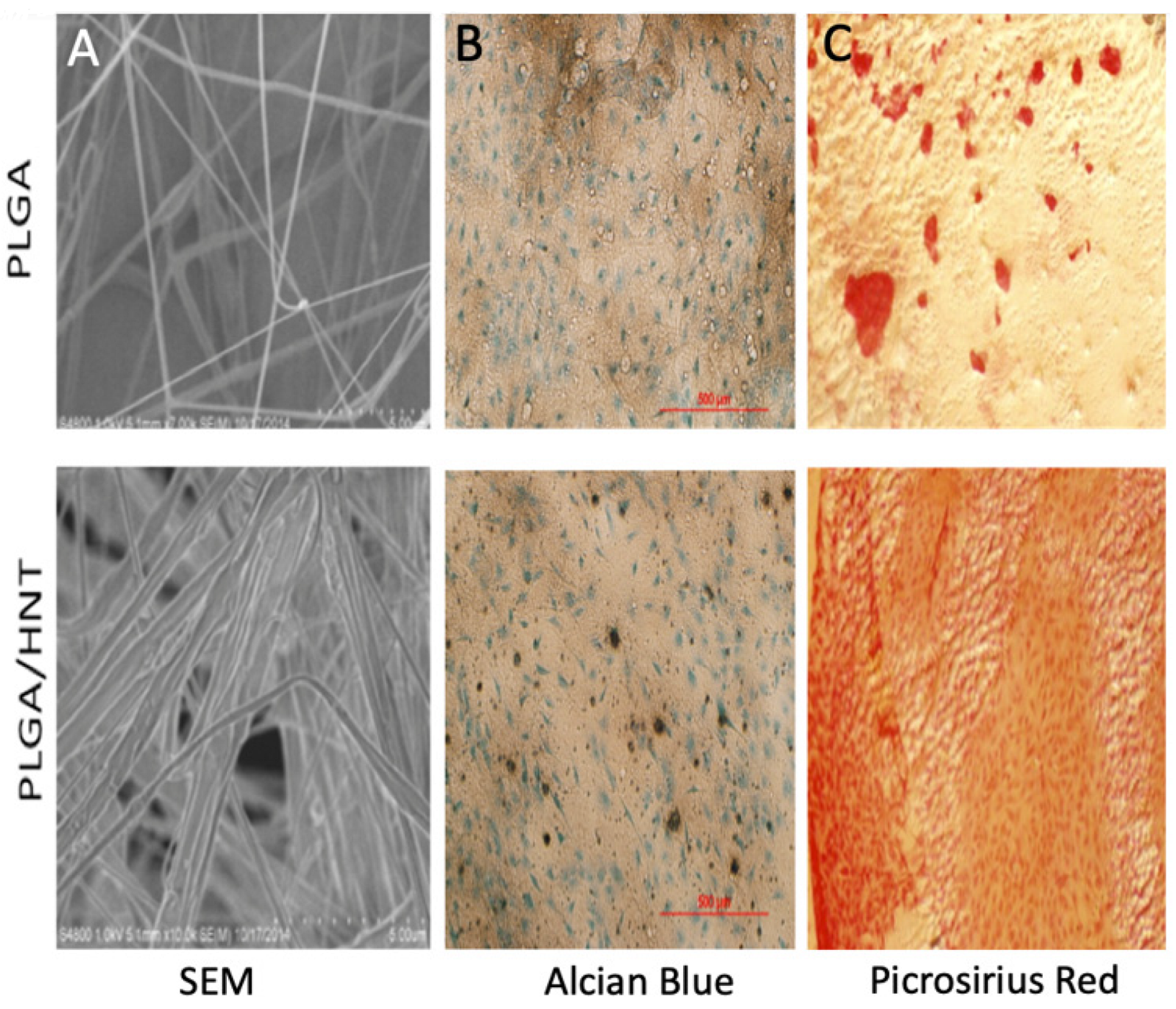 Jcs 07 00086 g006 Jcs 07 00086 g006