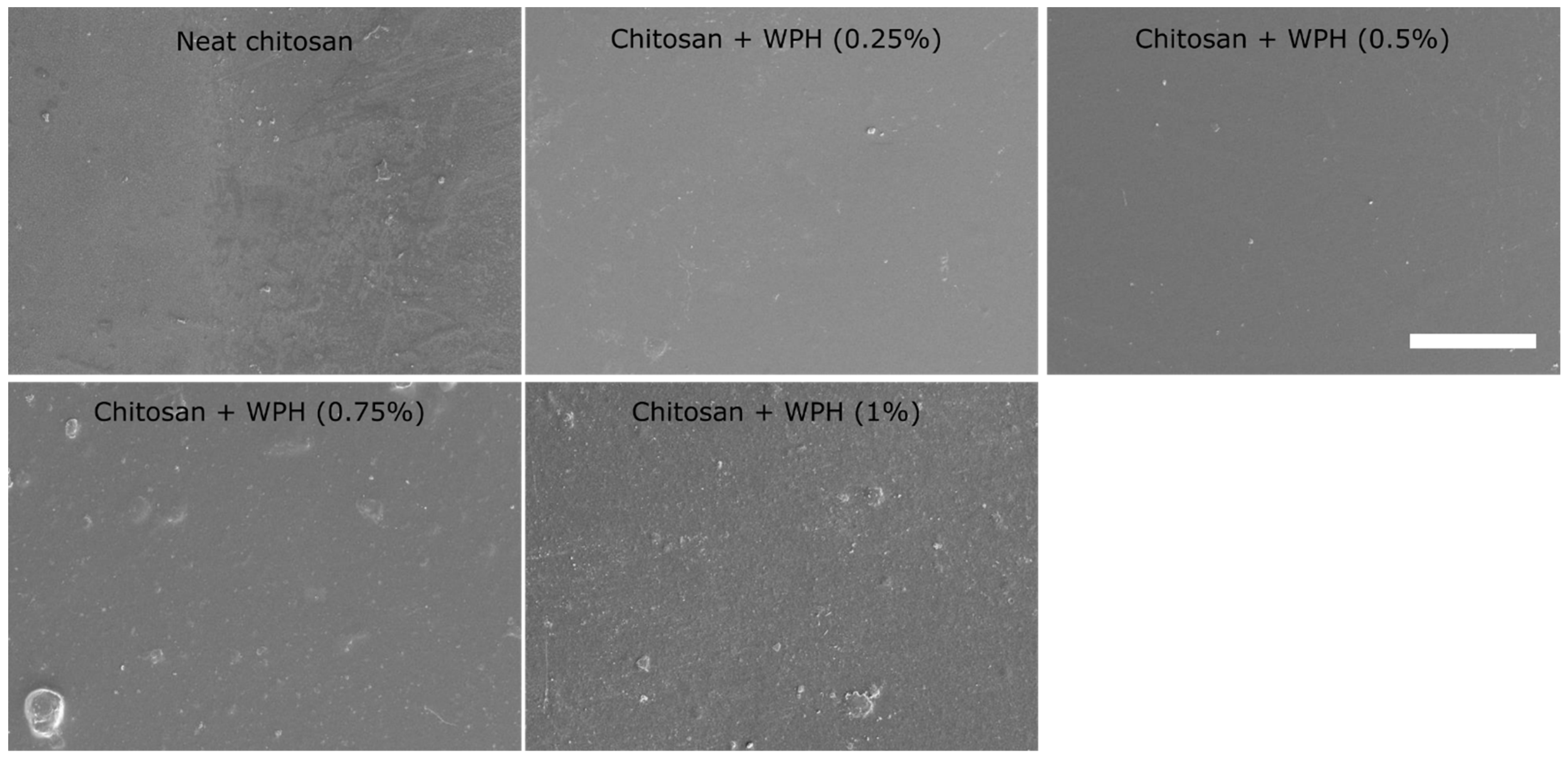 Jcs 07 00094 g006 Jcs 07 00094 g006