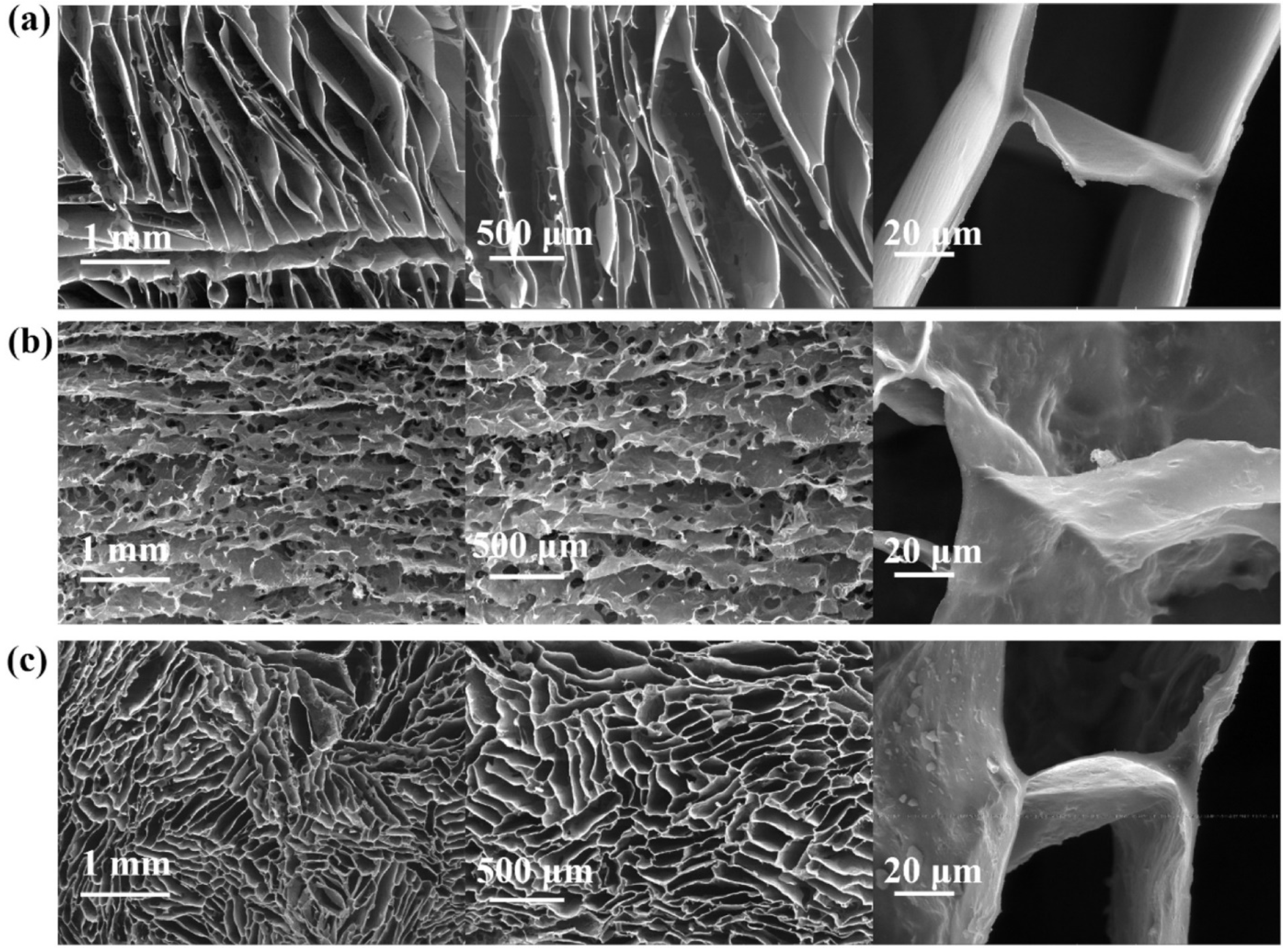 Jcs 07 00095 g007 Jcs 07 00095 g007