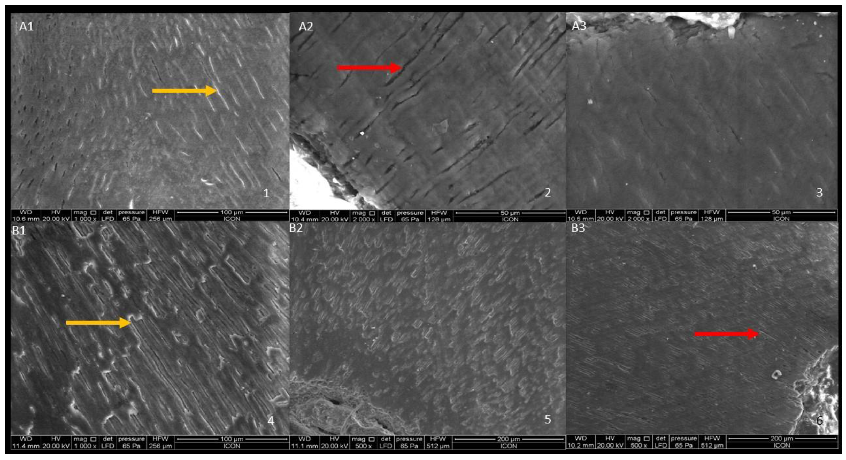 Jcs 07 00106 g003 Jcs 07 00106 g003