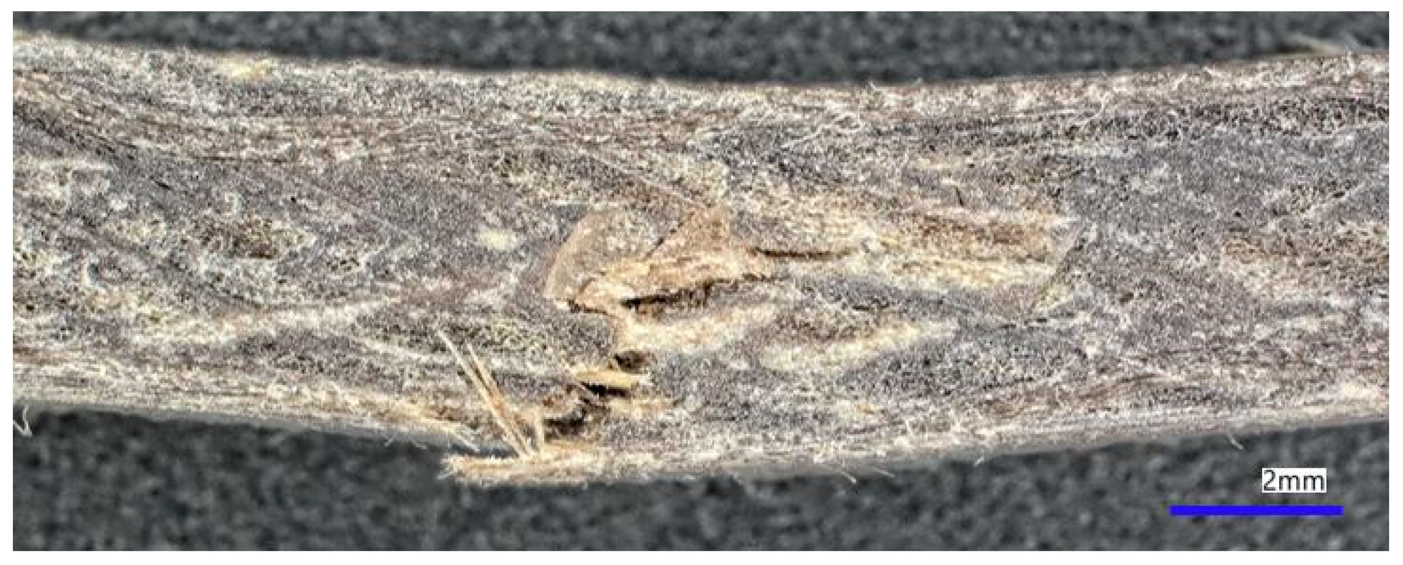 Jcs 07 00122 g015 Jcs 07 00122 g015