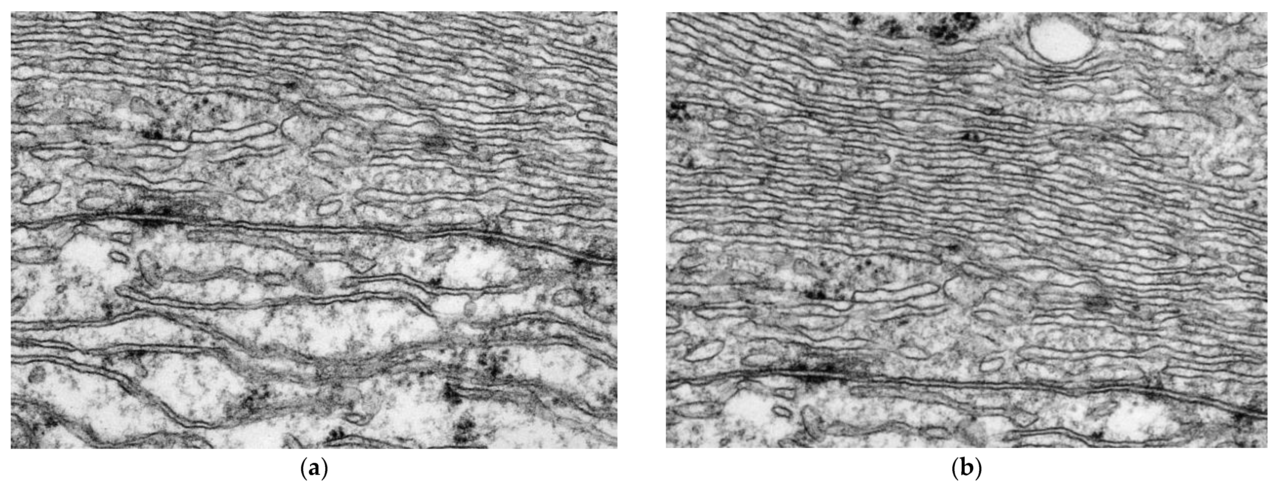 Jcs 07 00124 g003 Jcs 07 00124 g003