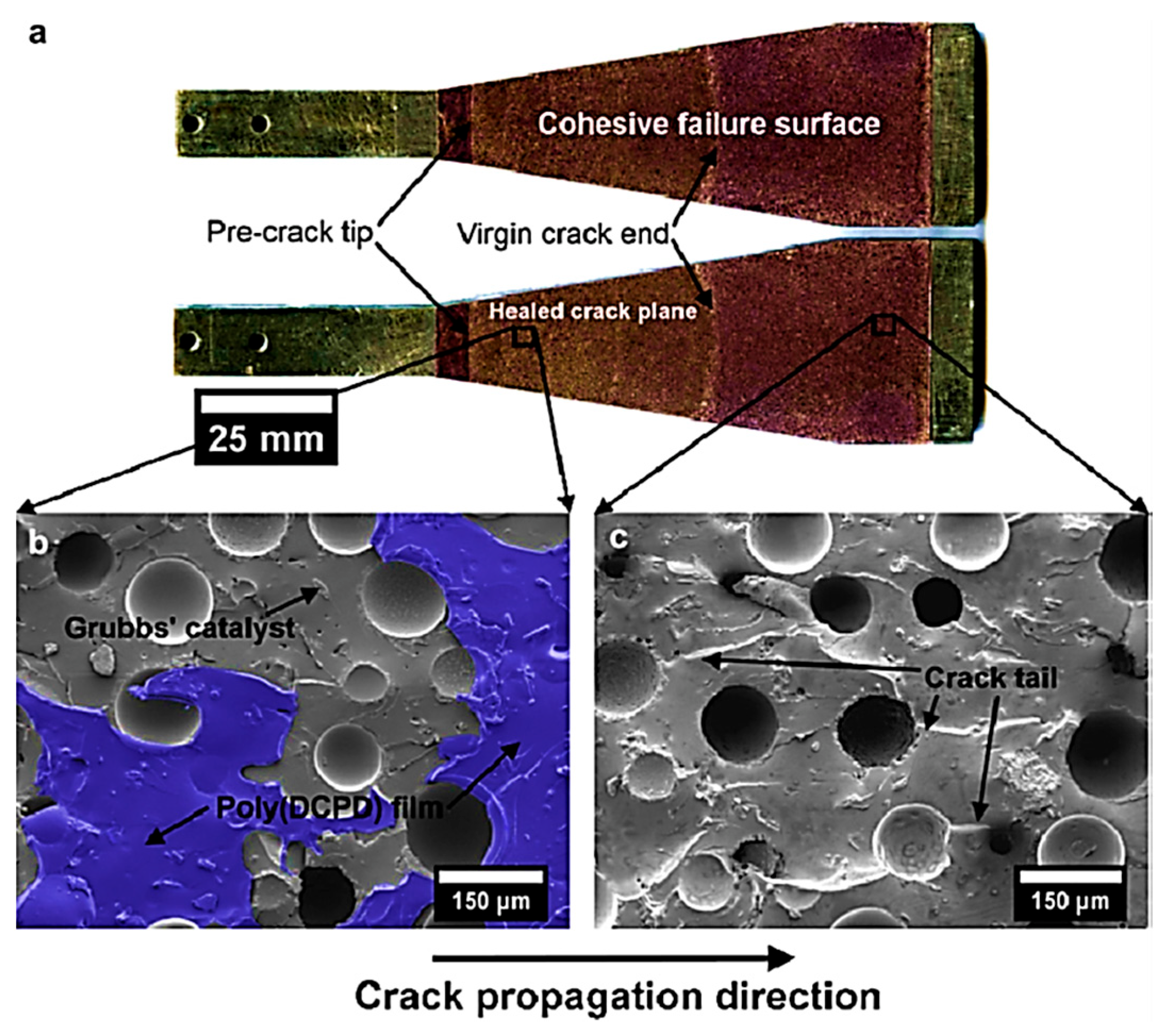 Jcs 07 00148 g002 Jcs 07 00148 g002