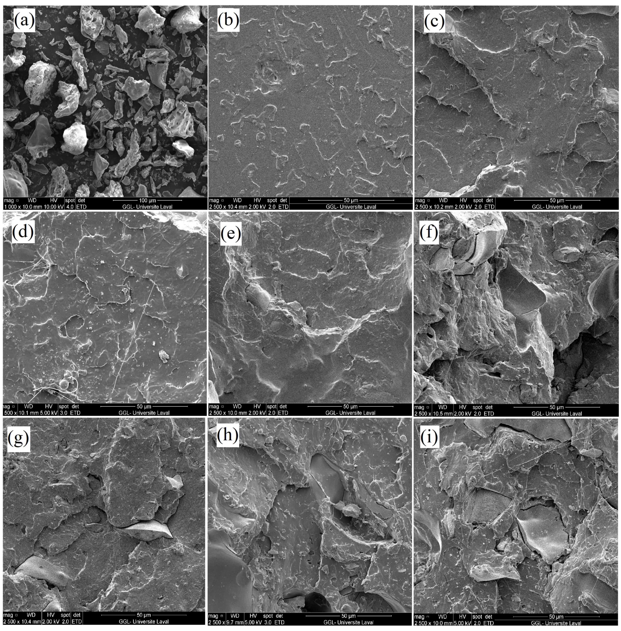 Jcs 07 00150 g002 Jcs 07 00150 g002