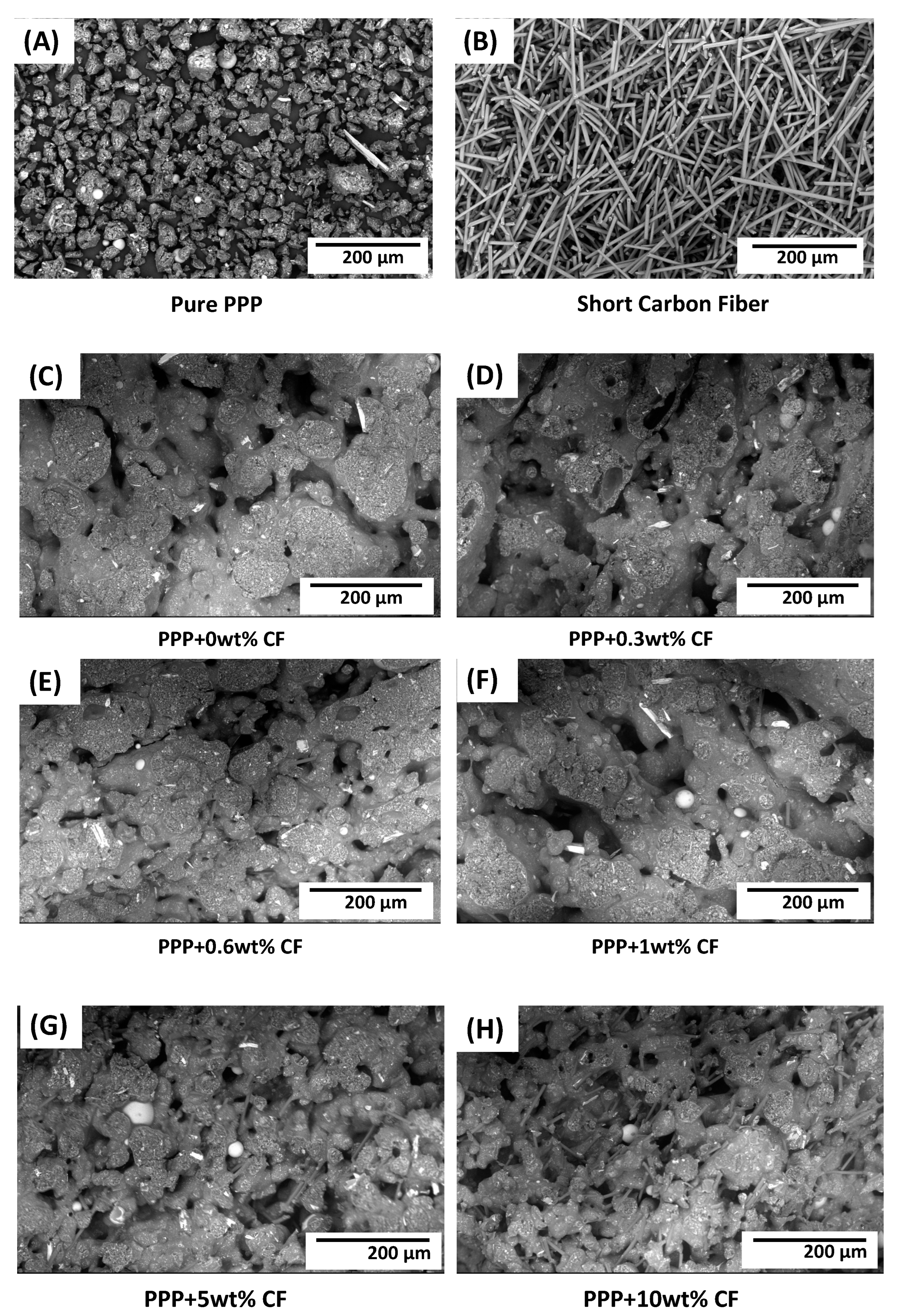 Jcs 07 00171 g011 Jcs 07 00171 g011