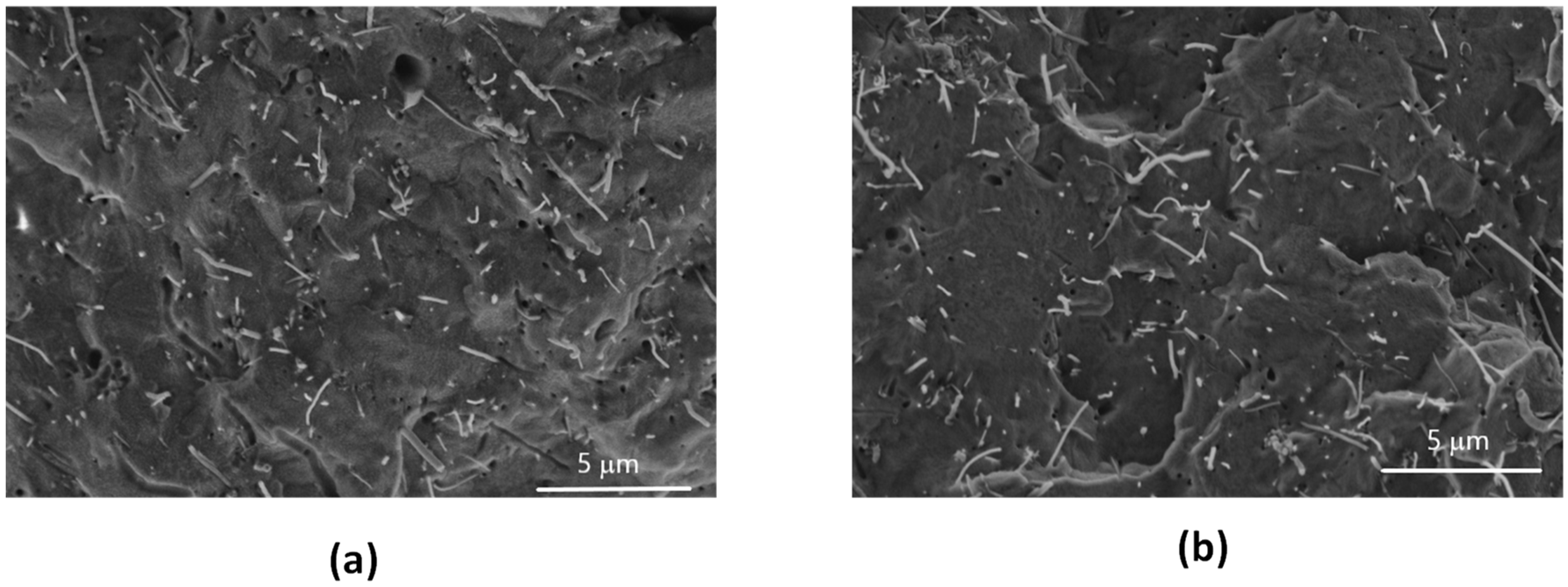 Jcs 07 00173 g002 Jcs 07 00173 g002