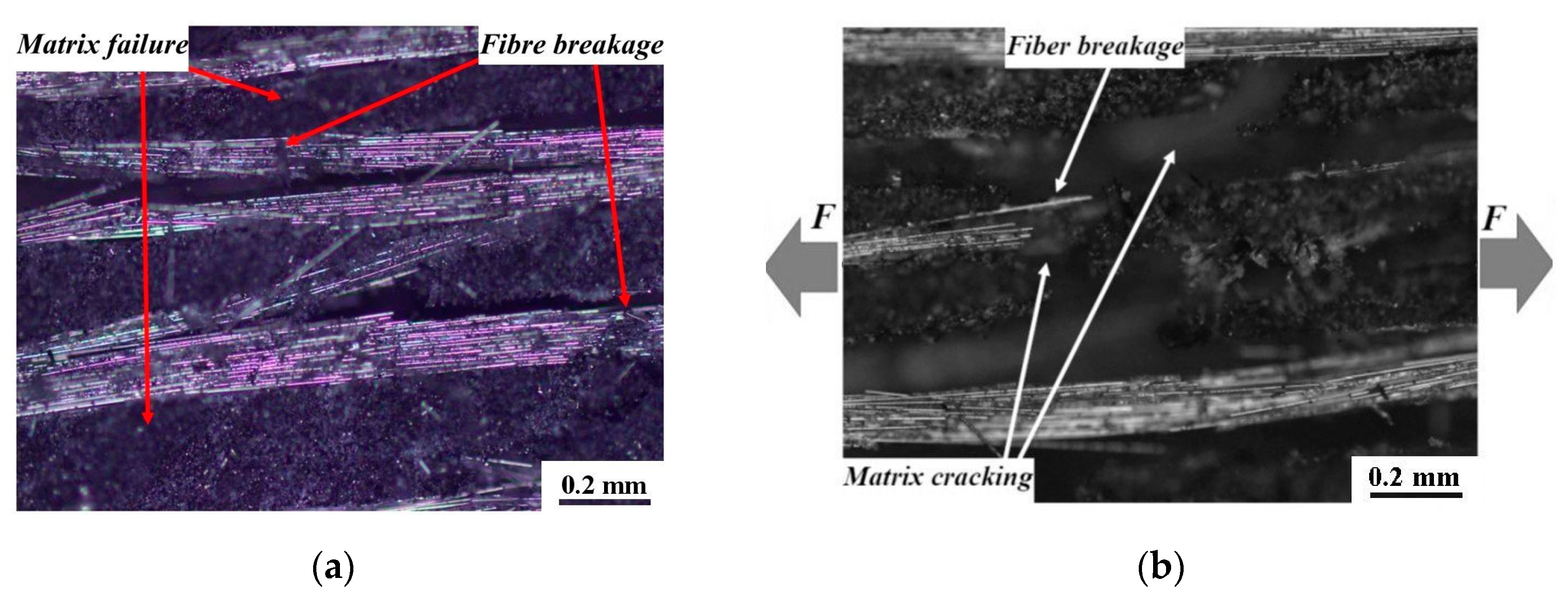 Jcs 07 00184 g007 Jcs 07 00184 g007