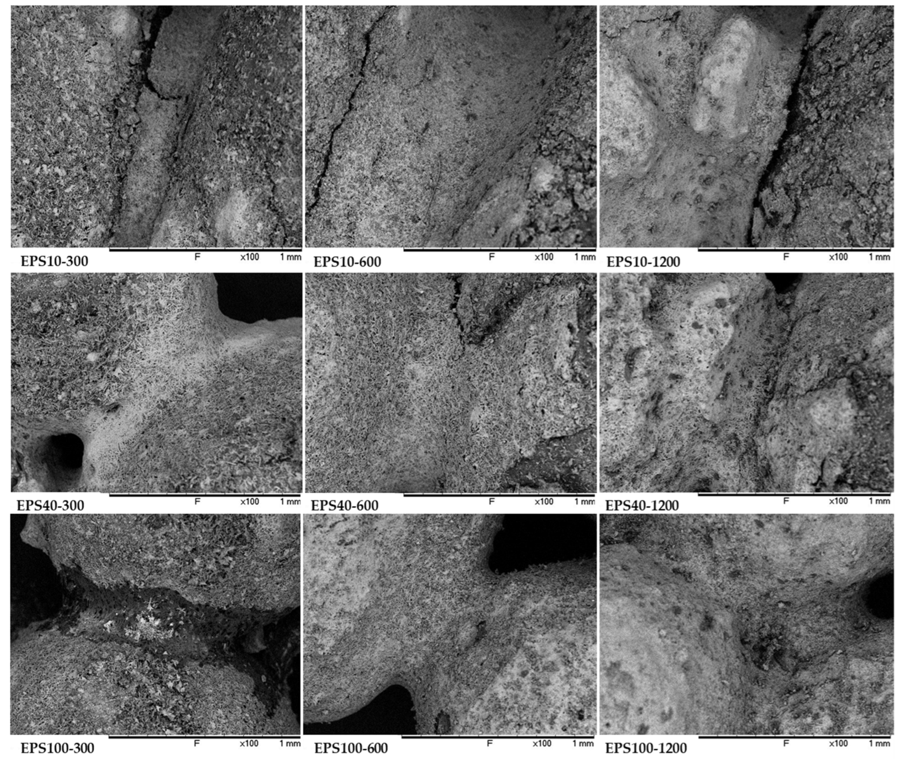 Jcs 07 00203 g008 Jcs 07 00203 g008