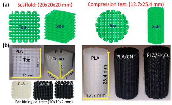 Bio-Based Sustainable Polymers and Materials: From Processing to ...