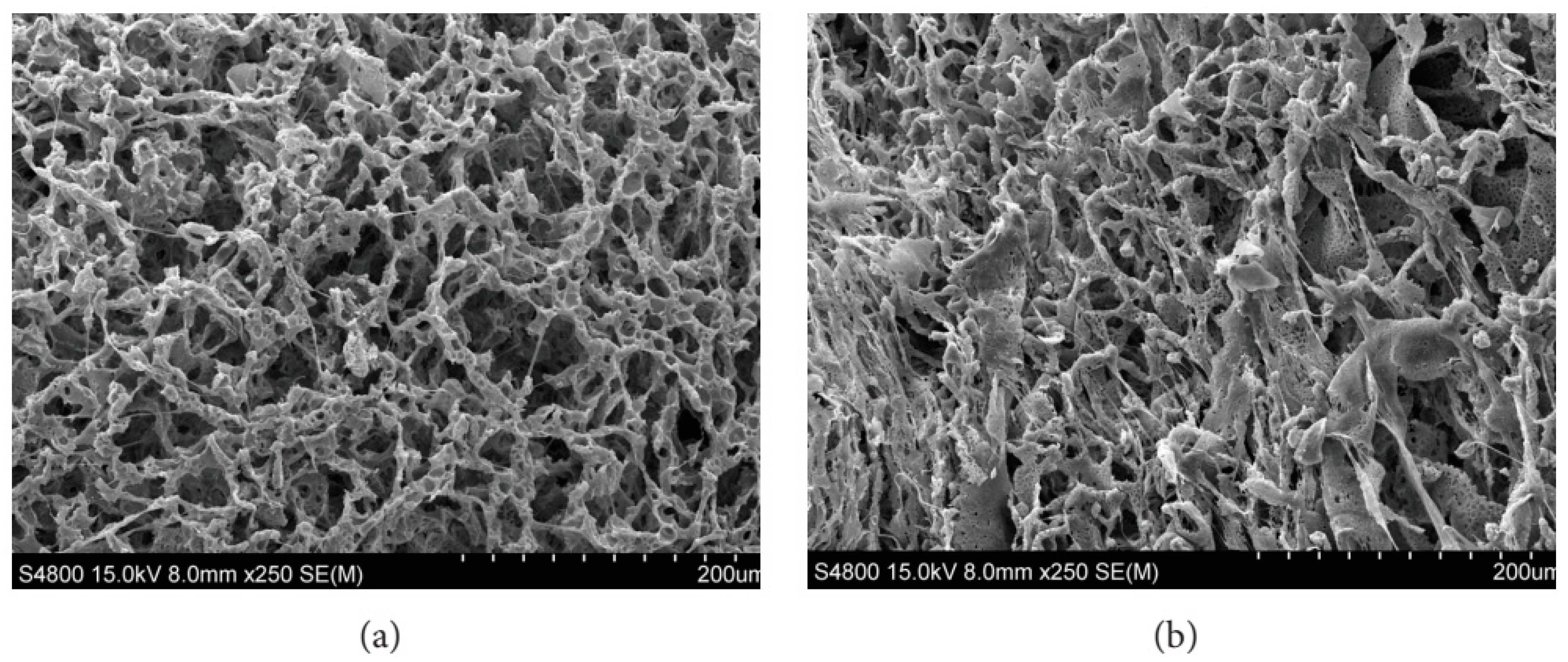 Jcs 07 00213 g023 Jcs 07 00213 g023