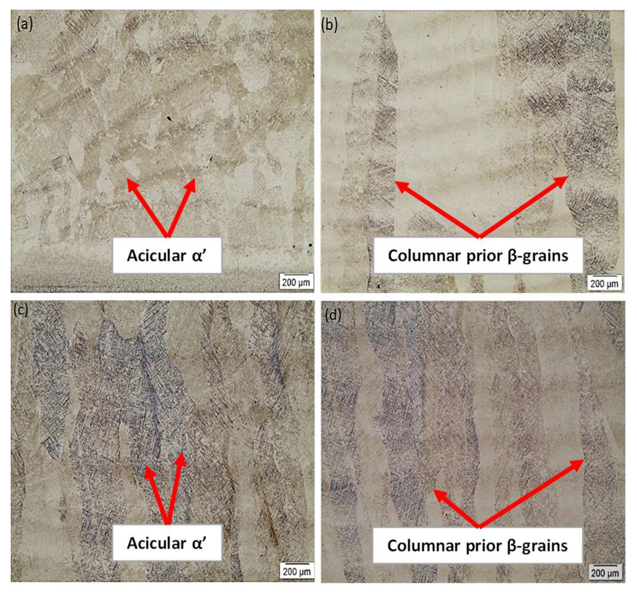 Jcs 07 00218 g002 Jcs 07 00218 g002