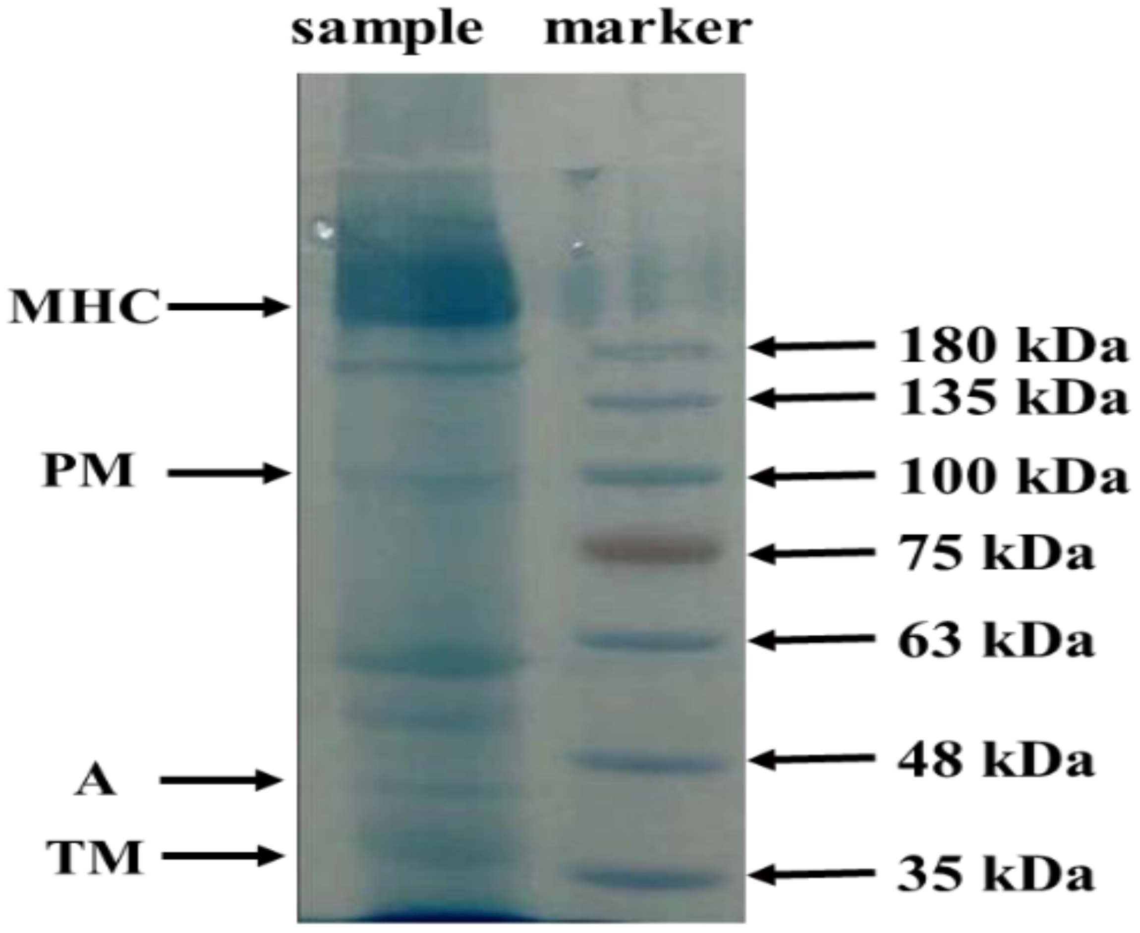 Jcs 07 00228 g001 Jcs 07 00228 g001