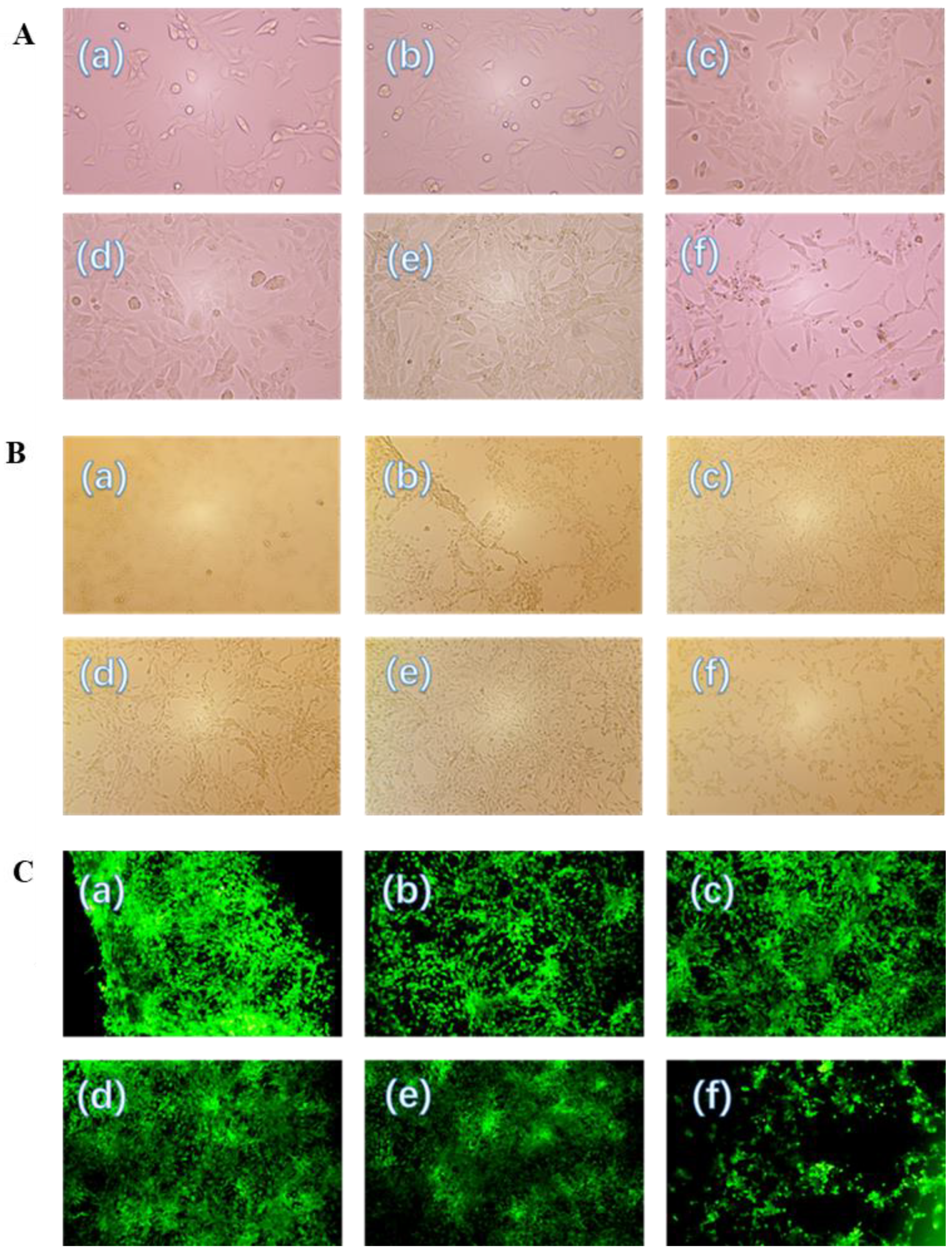 Jcs 07 00228 g006 Jcs 07 00228 g006