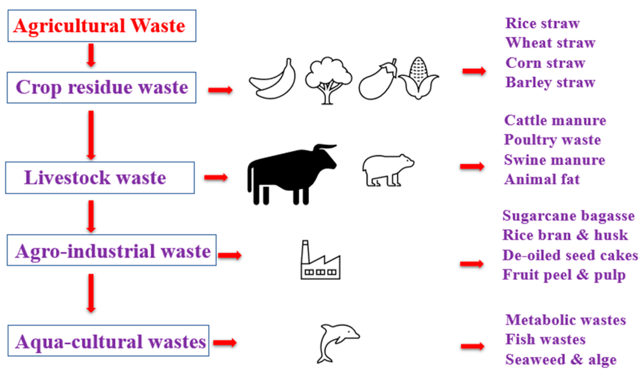 Jcs 07 00242 g002 Jcs 07 00242 g002