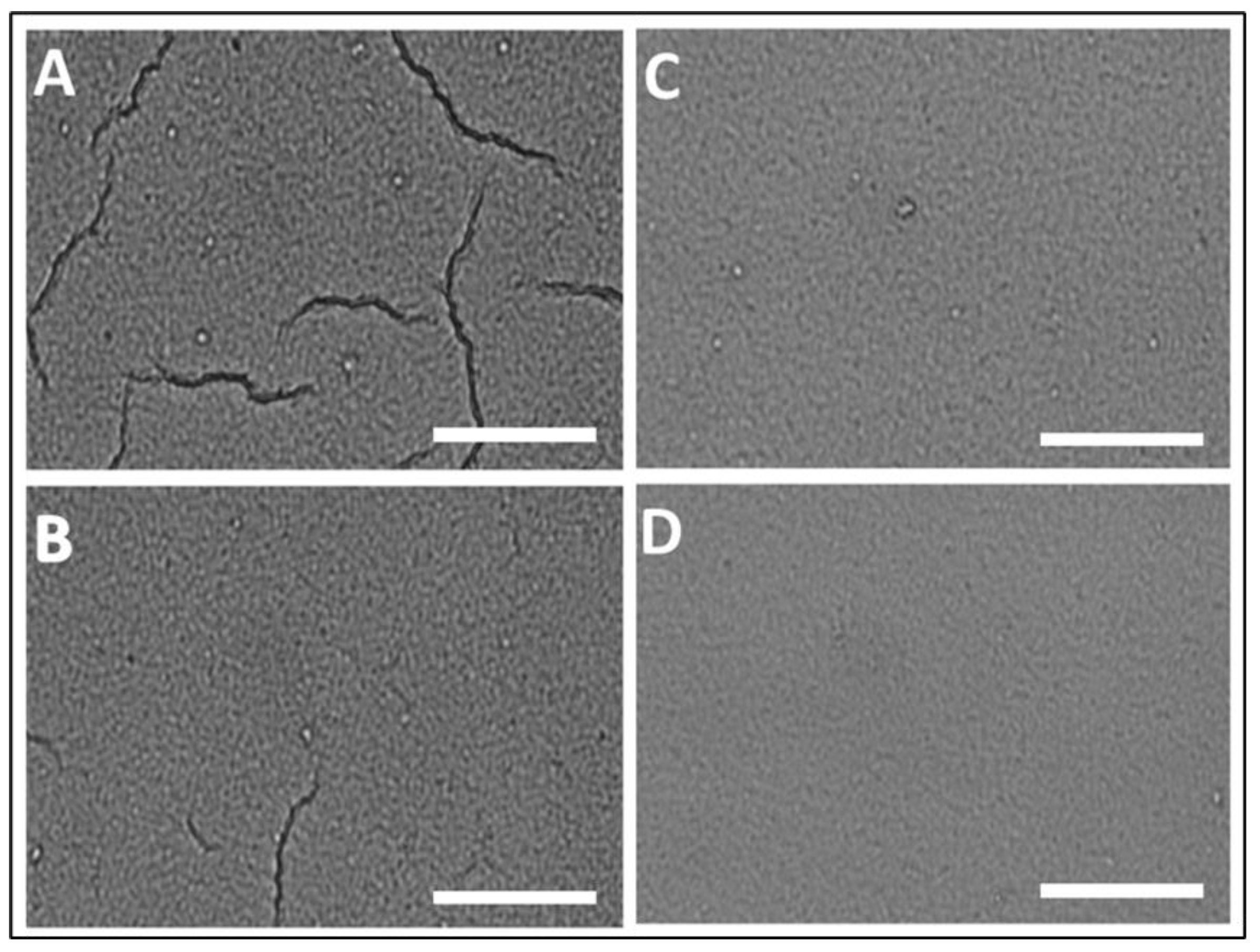 Jcs 07 00259 g002 Jcs 07 00259 g002