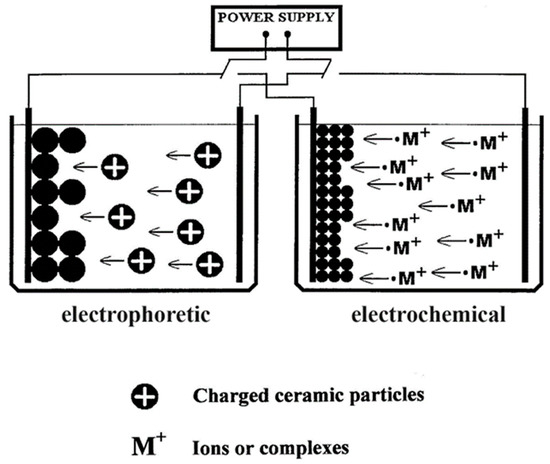 There Are over 60 Ways to Produce Biocompatible Calcium