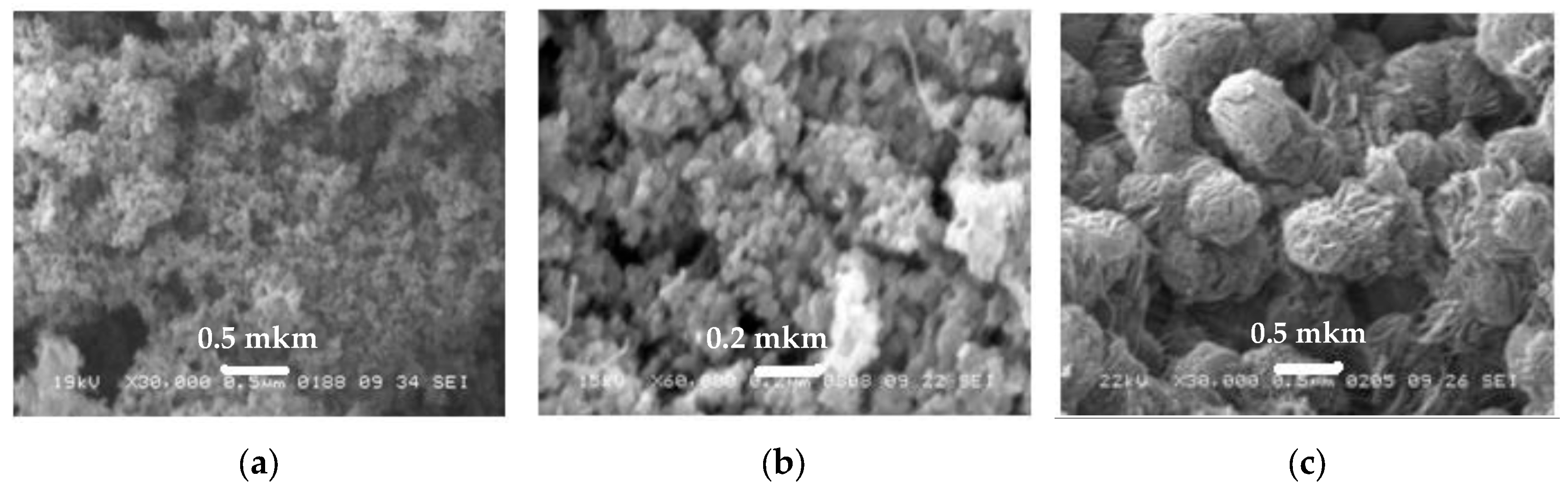 Jcs 07 00318 g001 Jcs 07 00318 g001