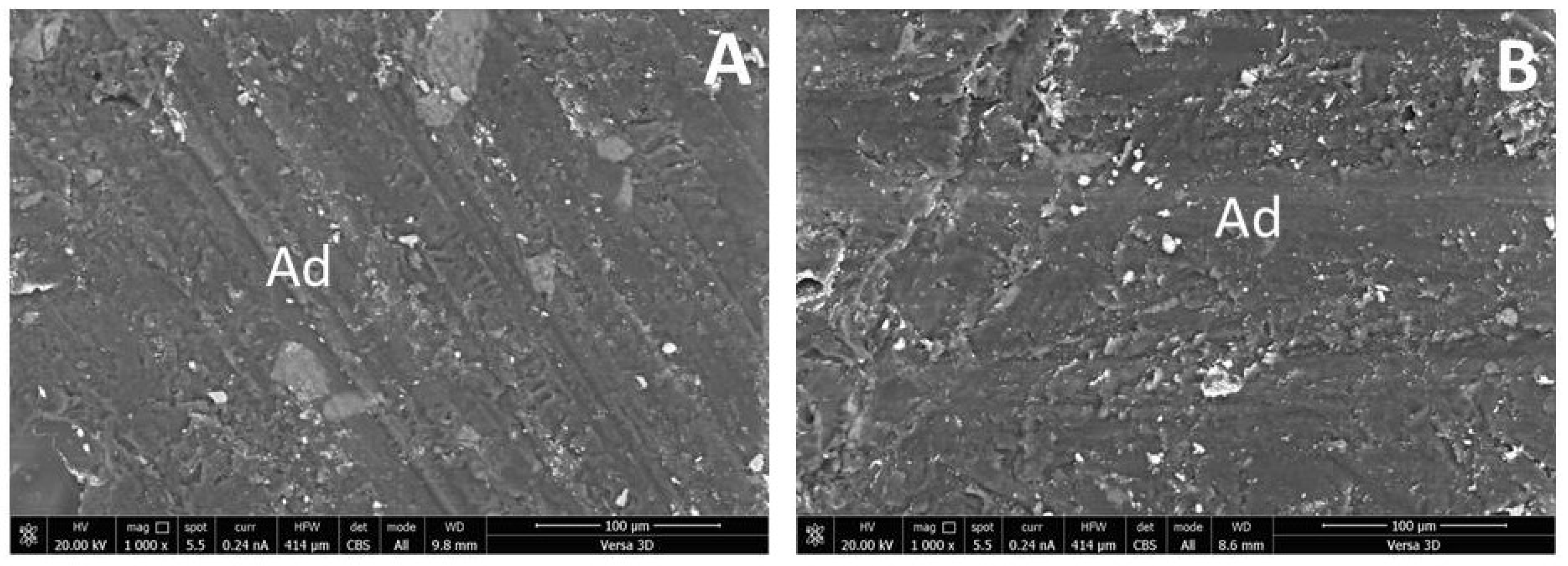 Jcs 07 00360 g003 Jcs 07 00360 g003