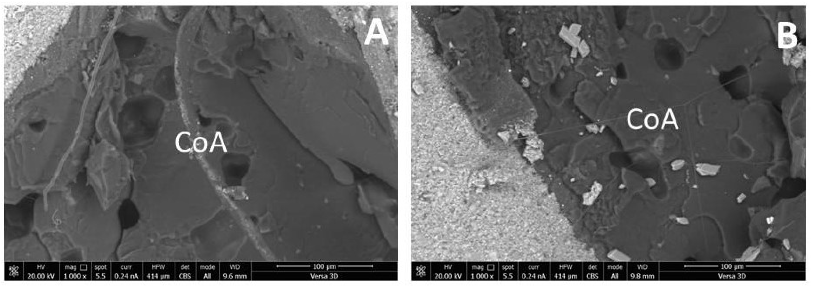 Jcs 07 00360 g004 Jcs 07 00360 g004