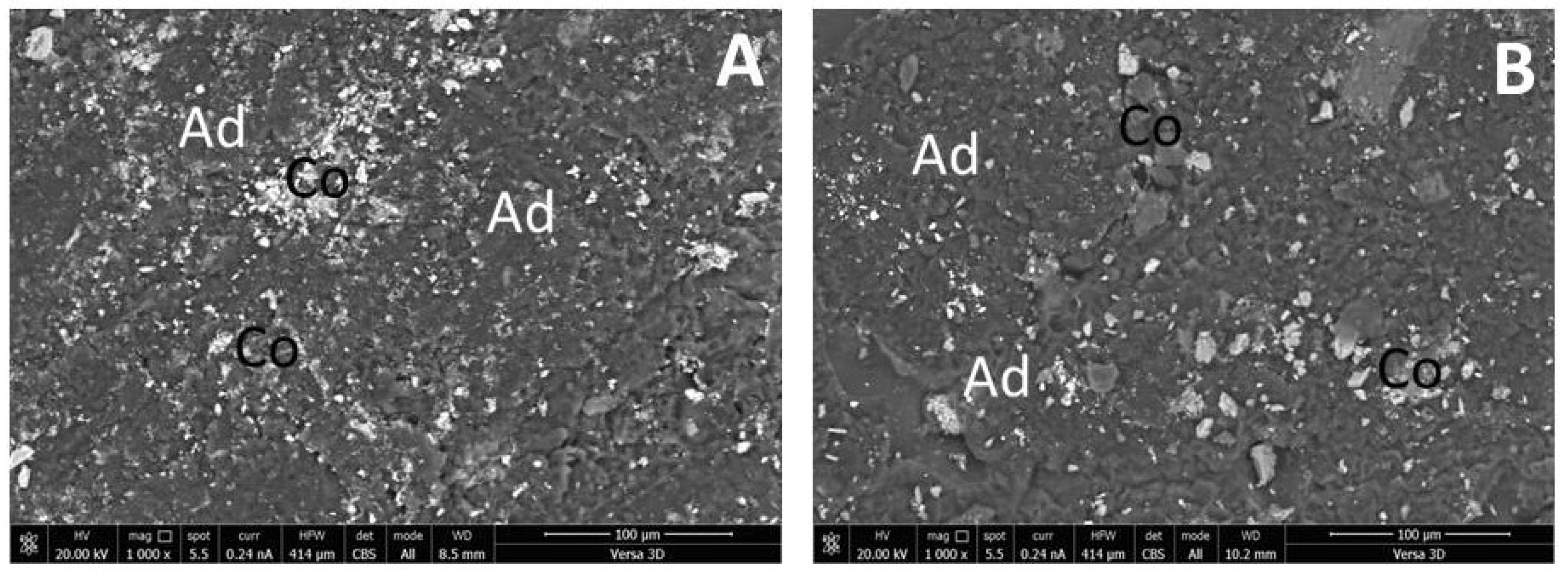 Jcs 07 00360 g005 Jcs 07 00360 g005
