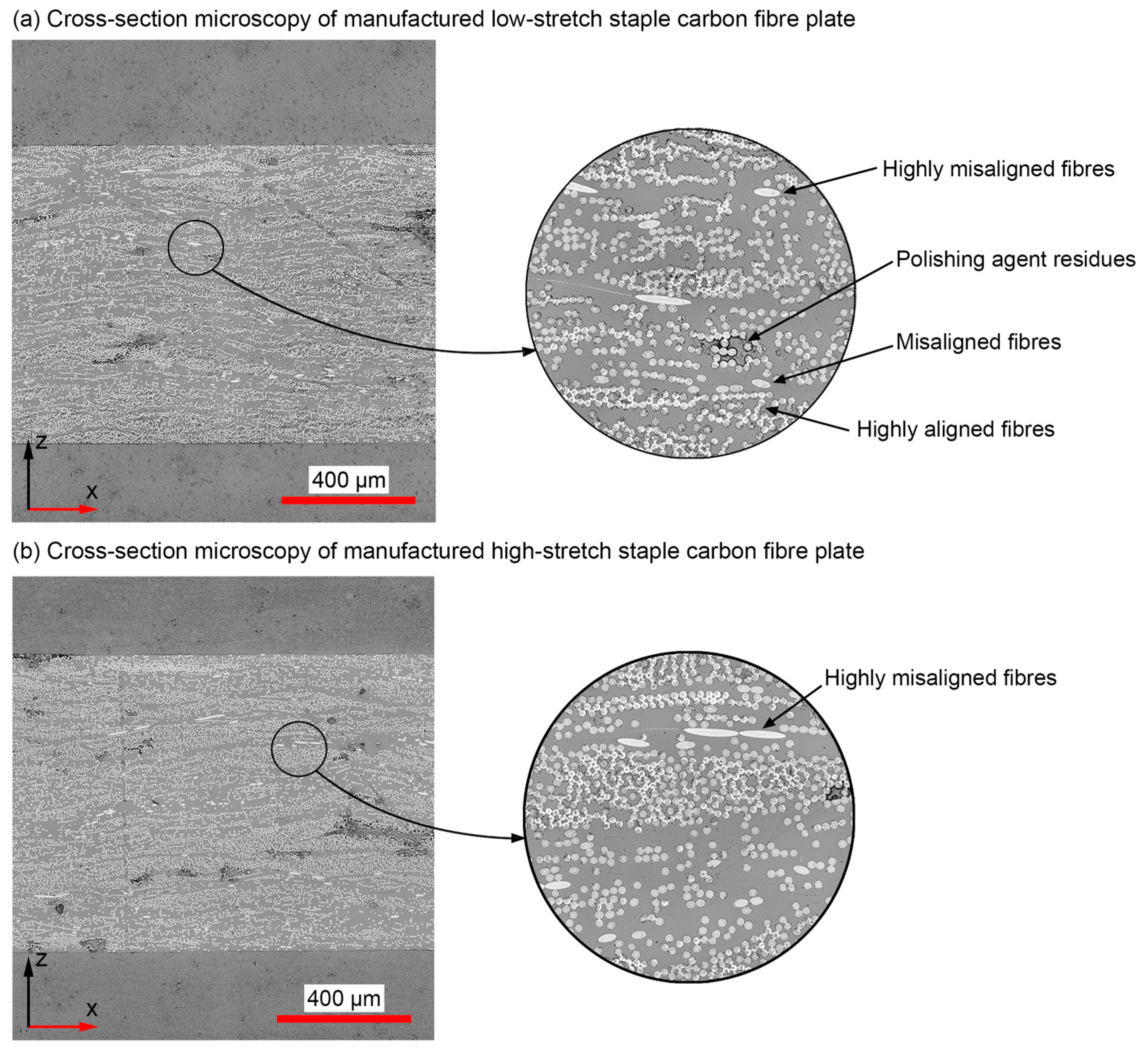 Jcs 07 00465 g004 Jcs 07 00465 g004