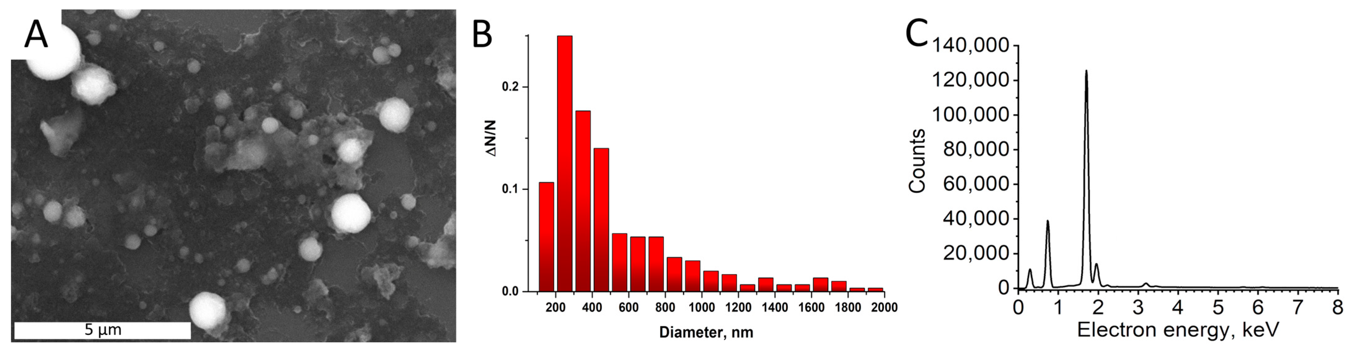 Jcs 08 00007 g005 Jcs 08 00007 g005