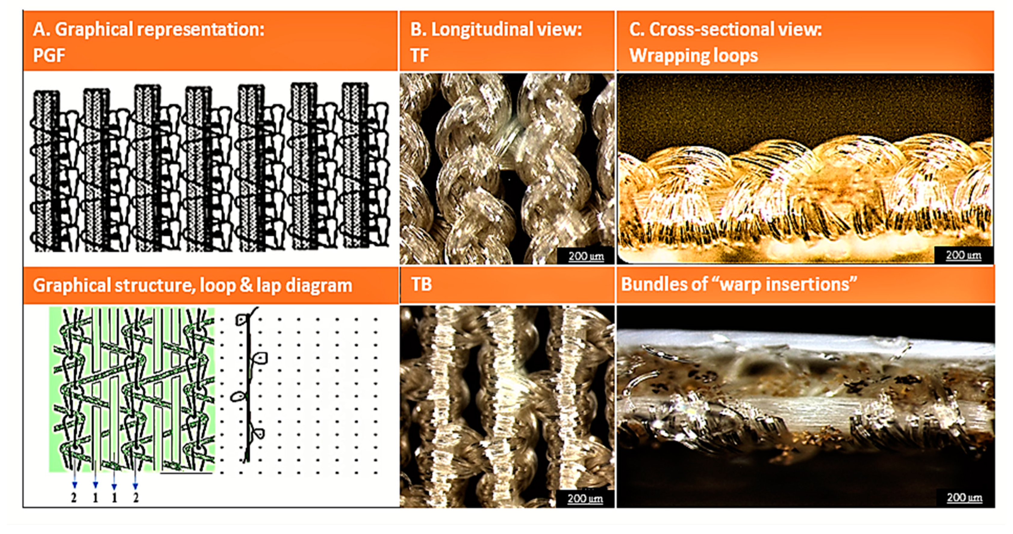 Jcs 08 00022 g002 Jcs 08 00022 g002