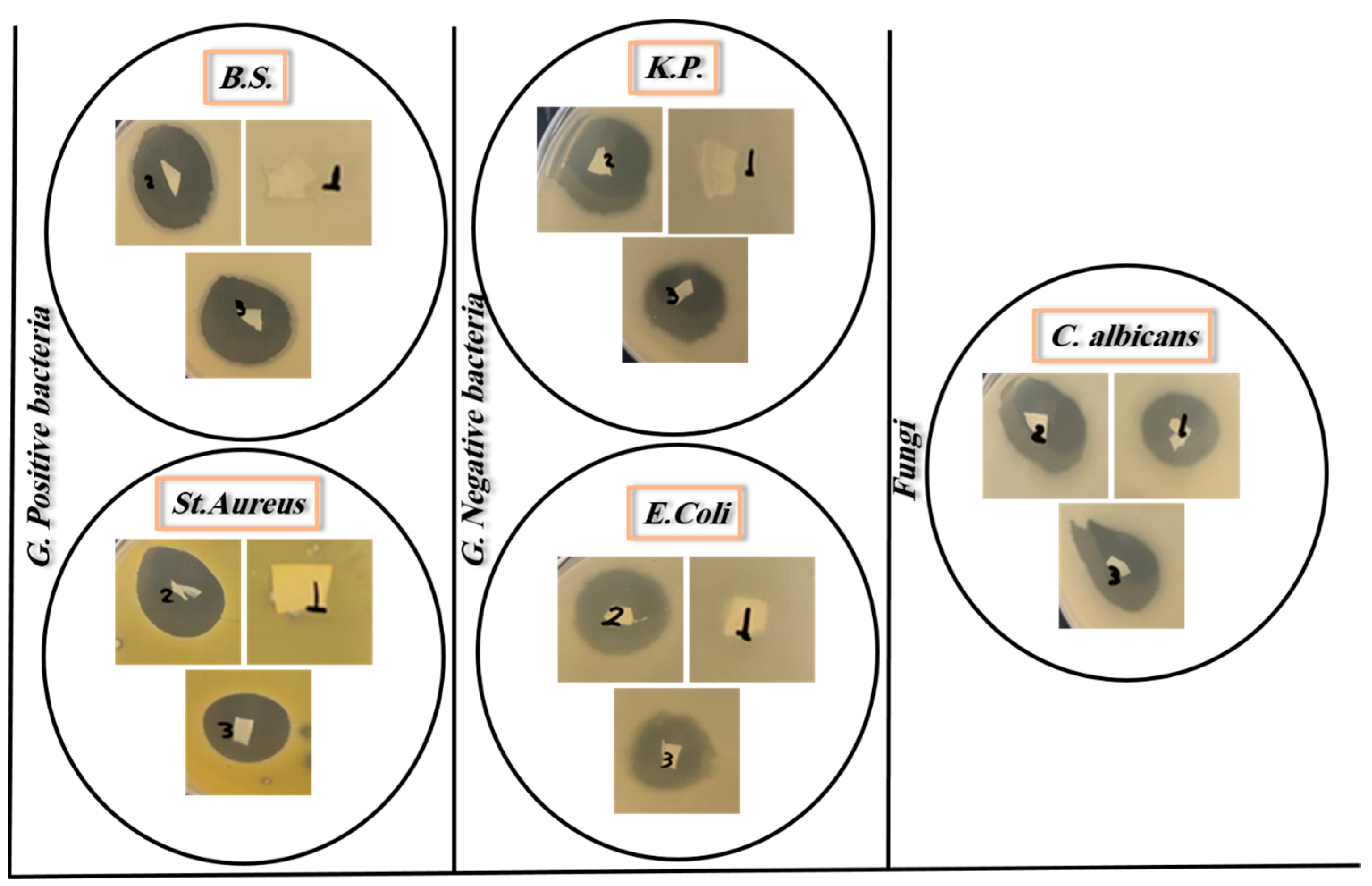 Jcs 08 00059 g007 Jcs 08 00059 g007