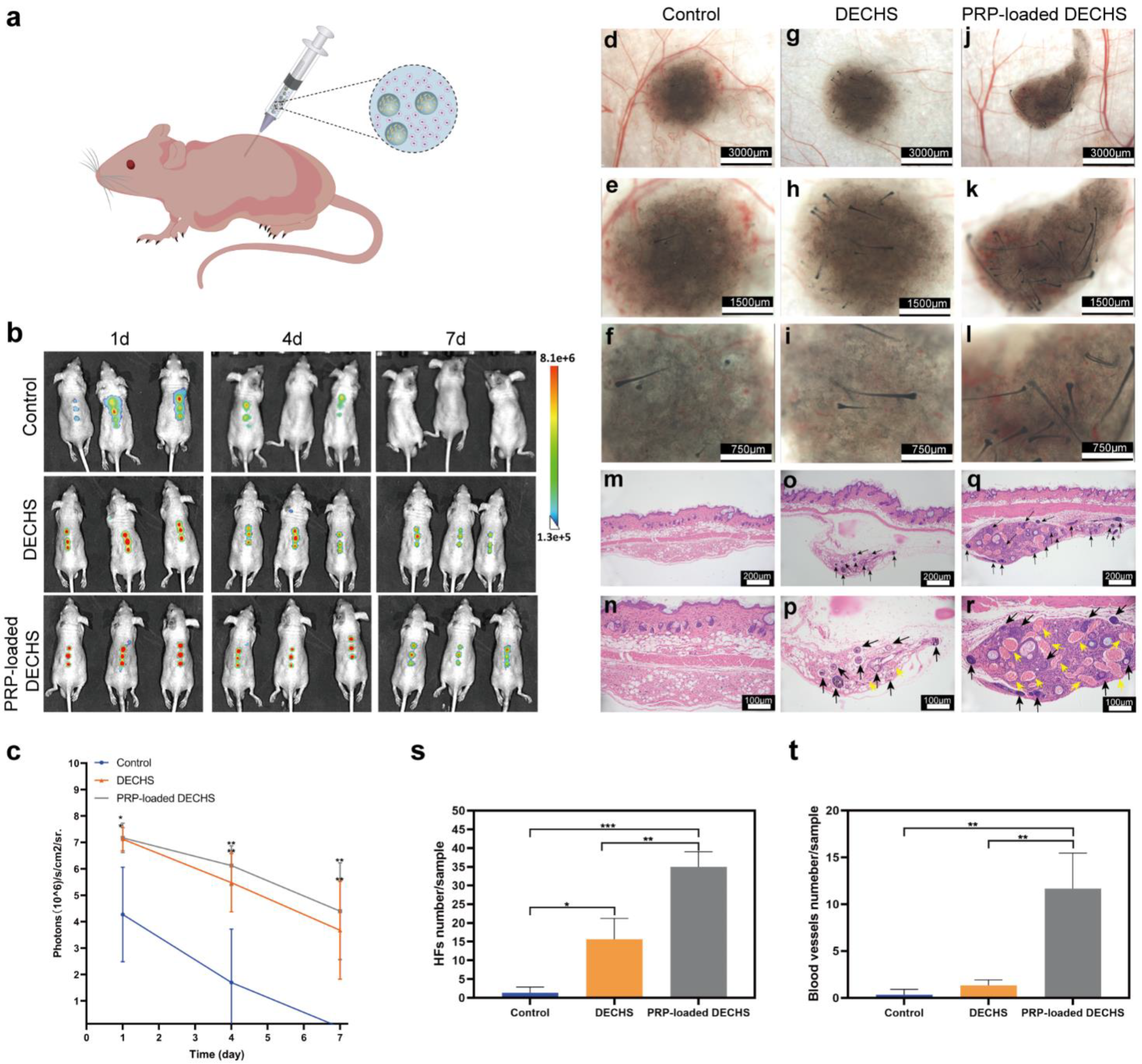 Hydrogel Composites for Multifunctional Biomedical Applications