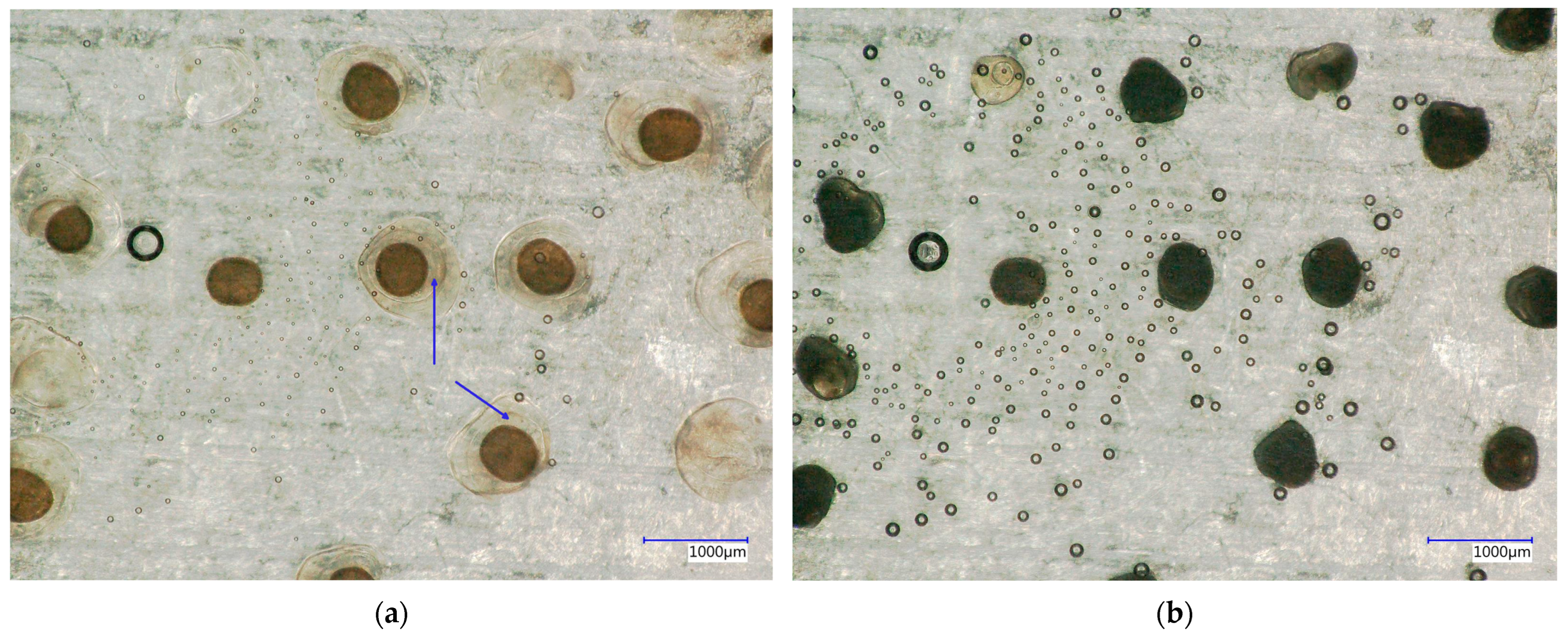 Jcs 08 00162 g003 Jcs 08 00162 g003