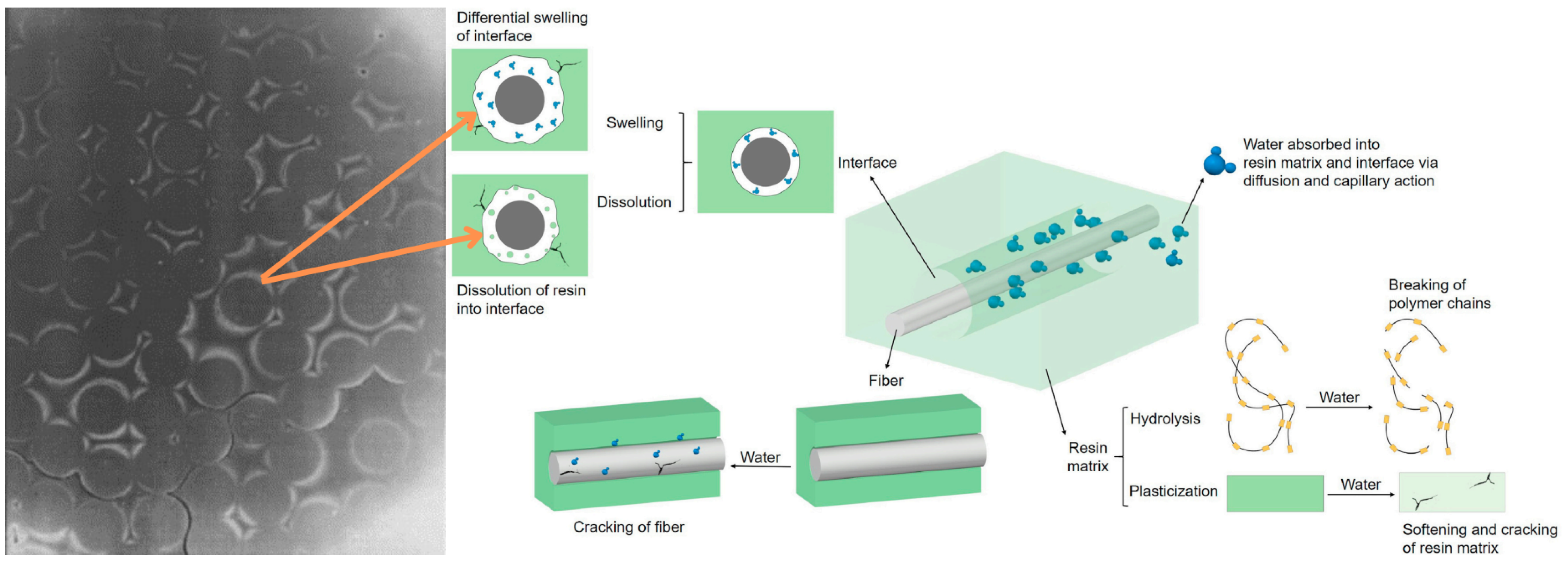 Mechanisms of Component Degradation and Multi-Scale Strategies for 