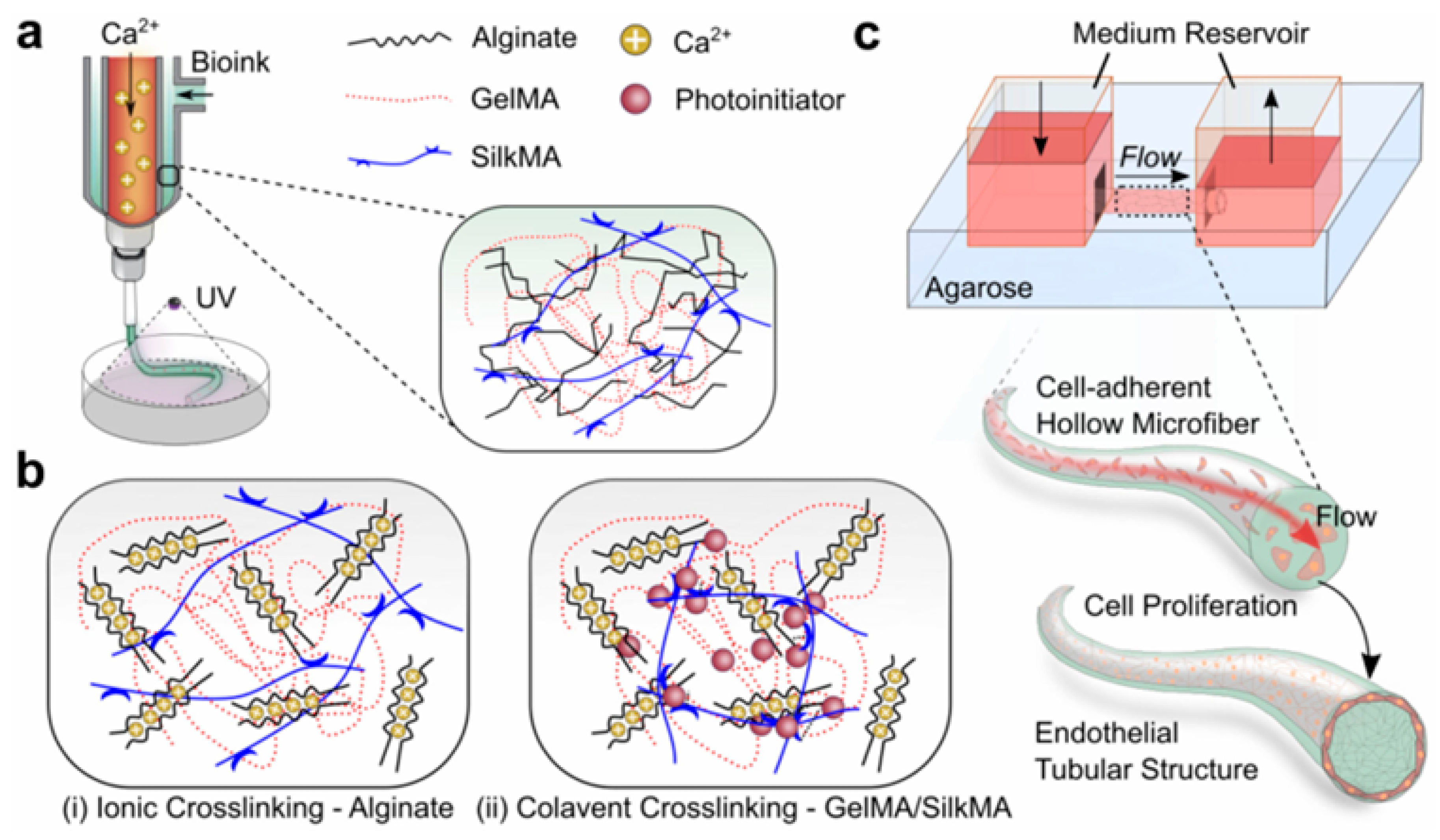 Jcs 08 00269 g001 Jcs 08 00269 g001