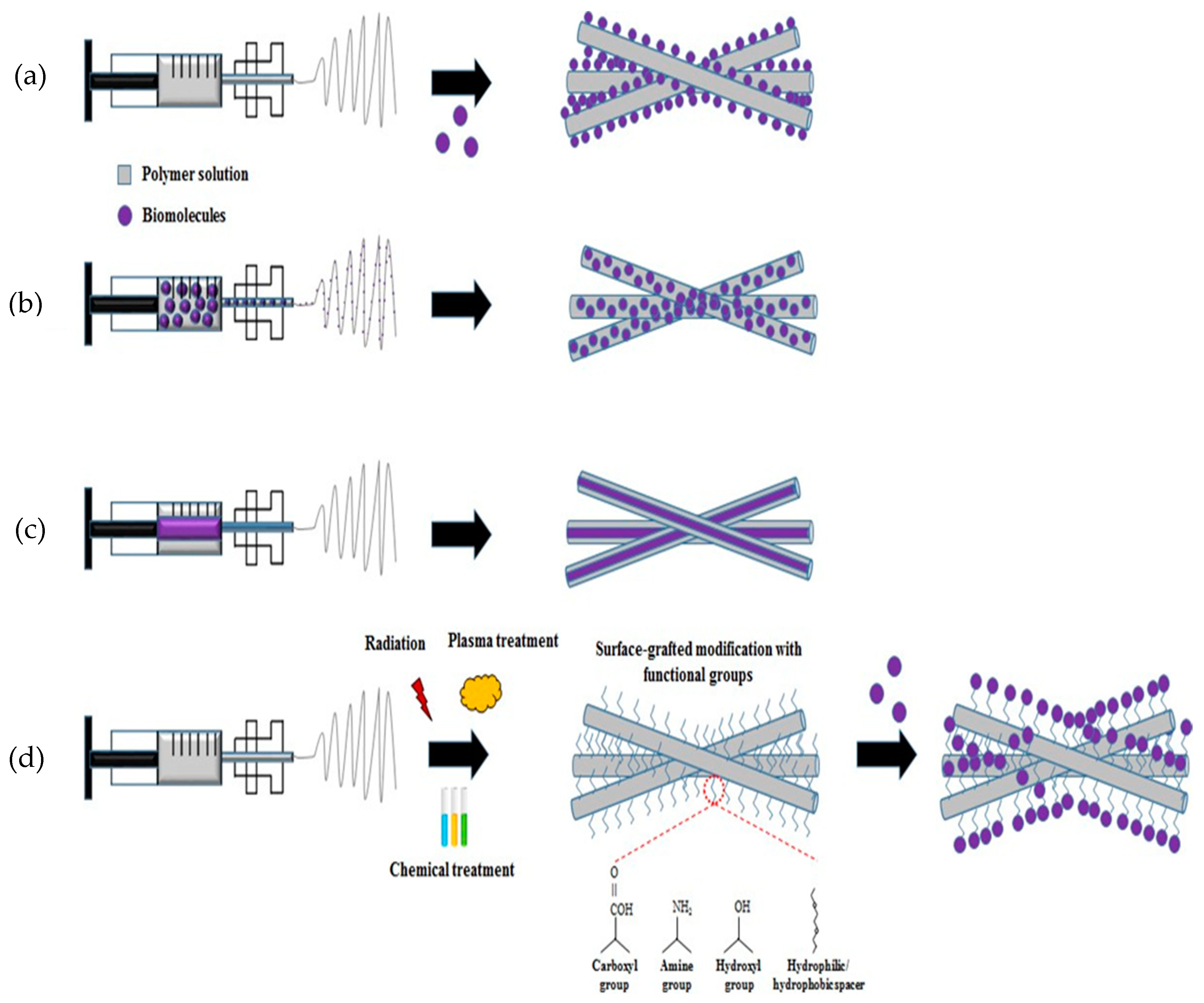 Jcs 08 00269 g003 Jcs 08 00269 g003