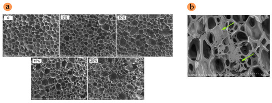 Current Trends in the Use of Biomass in the Manufacture of Current Trends in the Use of Biomass in the Manufacture of