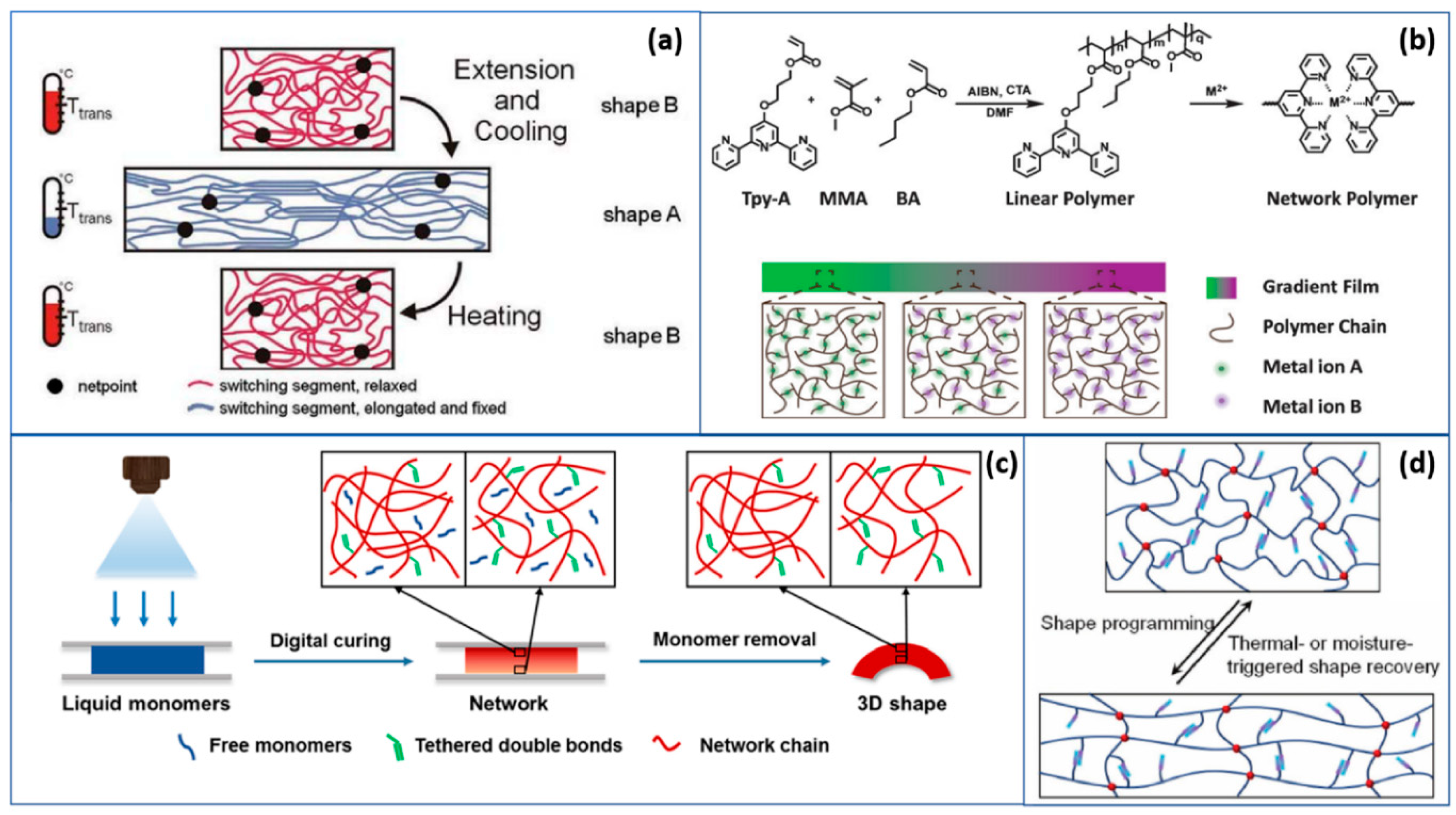 A Review of the Current State of Research and Future
