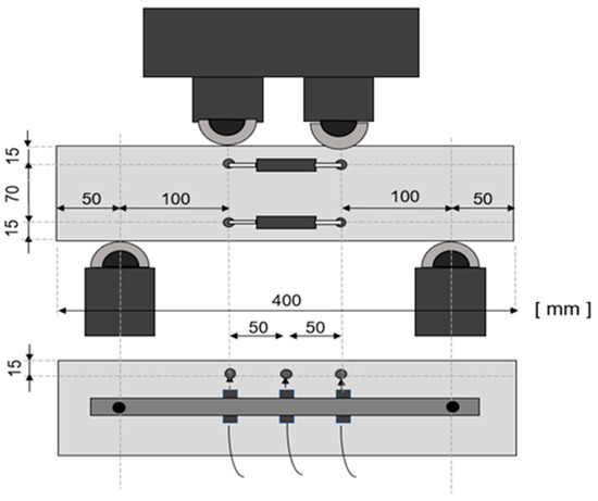 Bridging Behavior of Palm Fiber in Cementitious Composite
