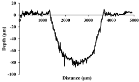 Jcs 08 00382 i001 Jcs 08 00382 i001