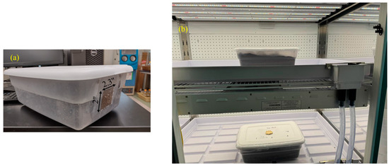 A Preliminary Experimental Study on Biodegradation of 3D-Printed ...